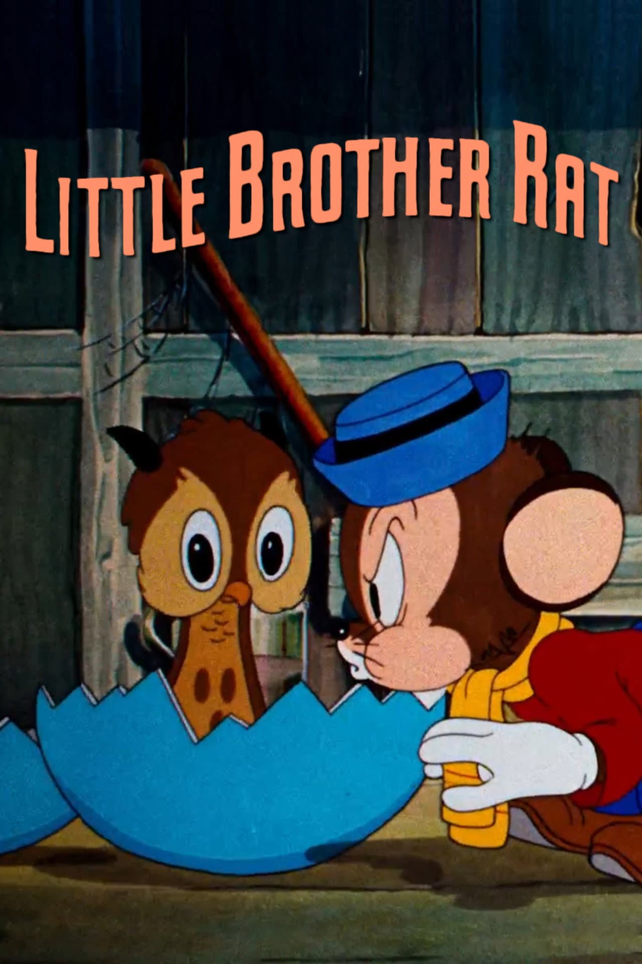 Little Brother Rat preview 2