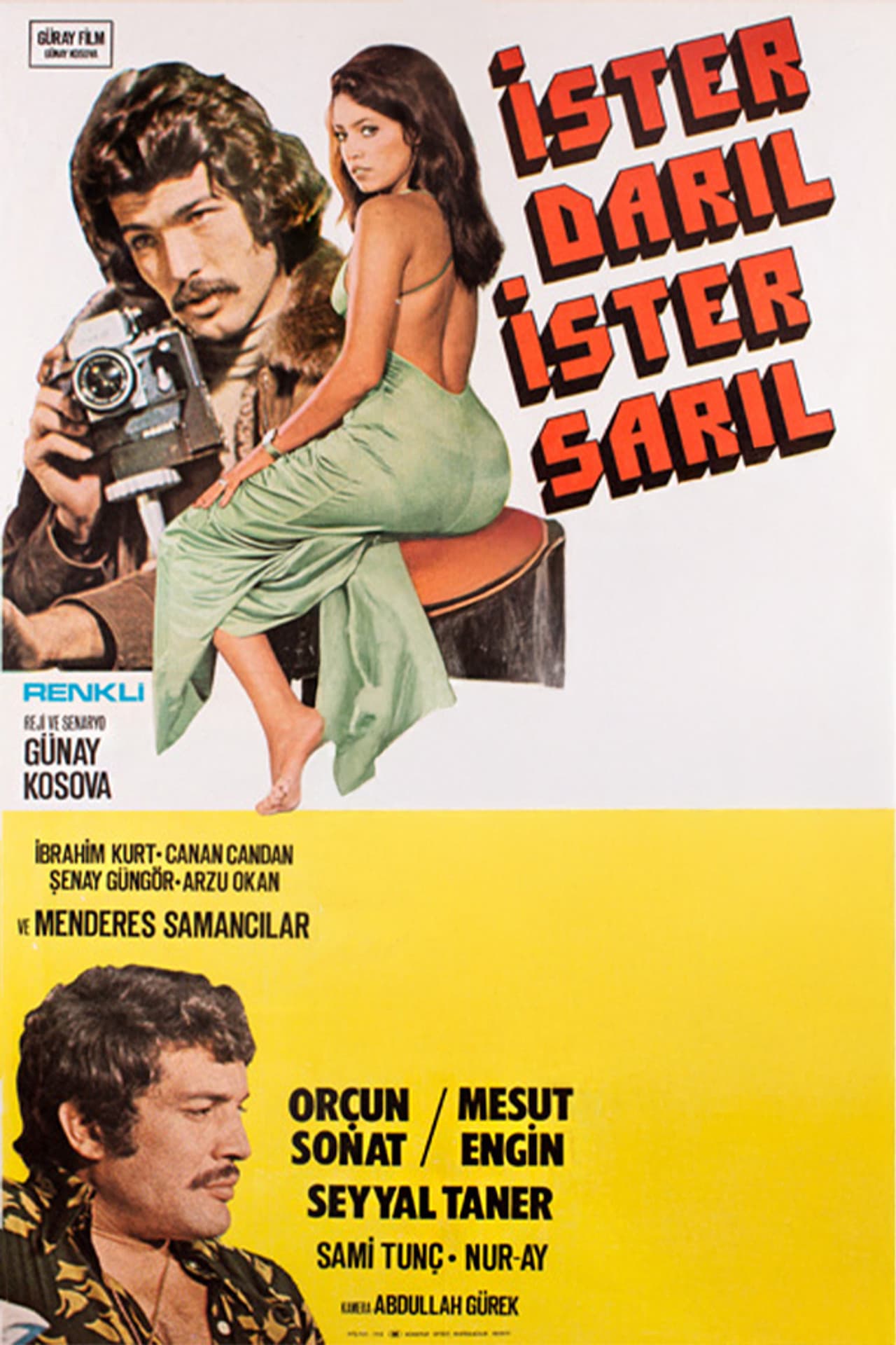 İster Darıl İster Sarıl preview 1