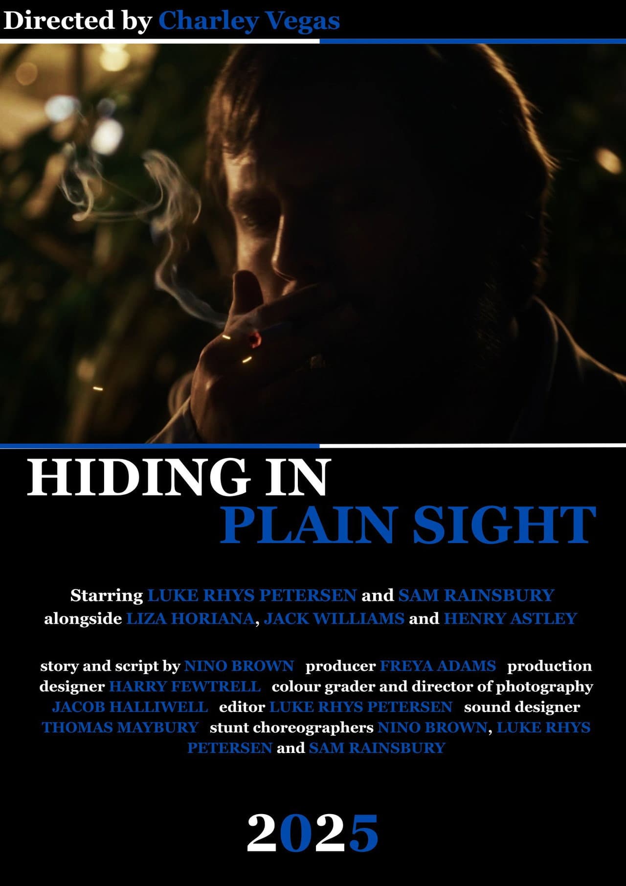 Hiding in Plain Sight preview 2