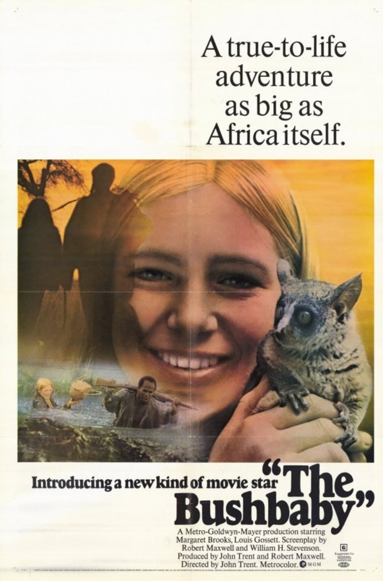 The Bushbaby preview 1