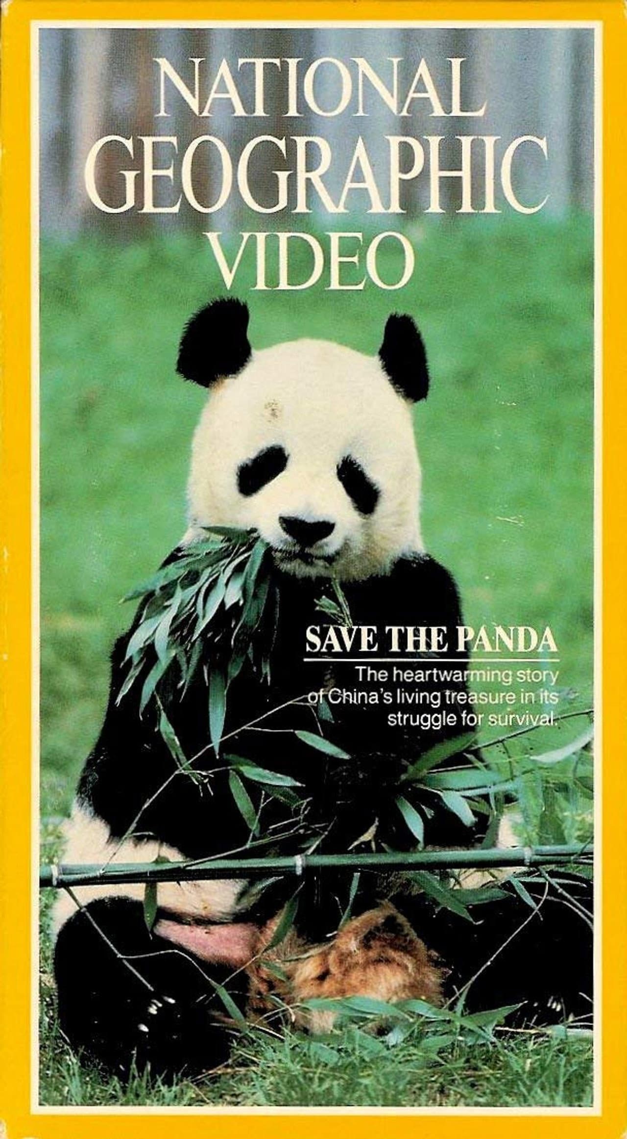 Save the Panda preview 2