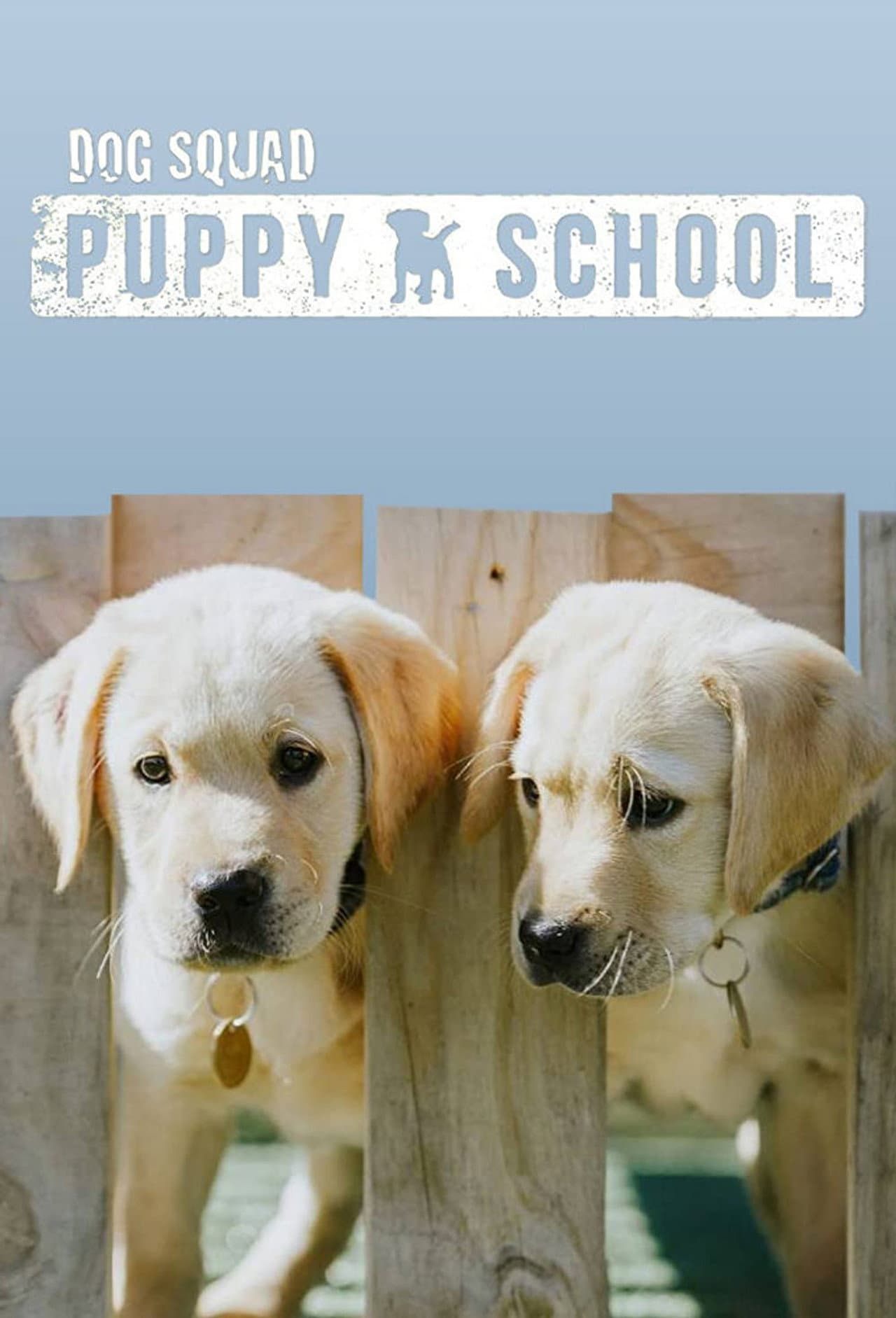 Dog Squad Puppy School preview 2