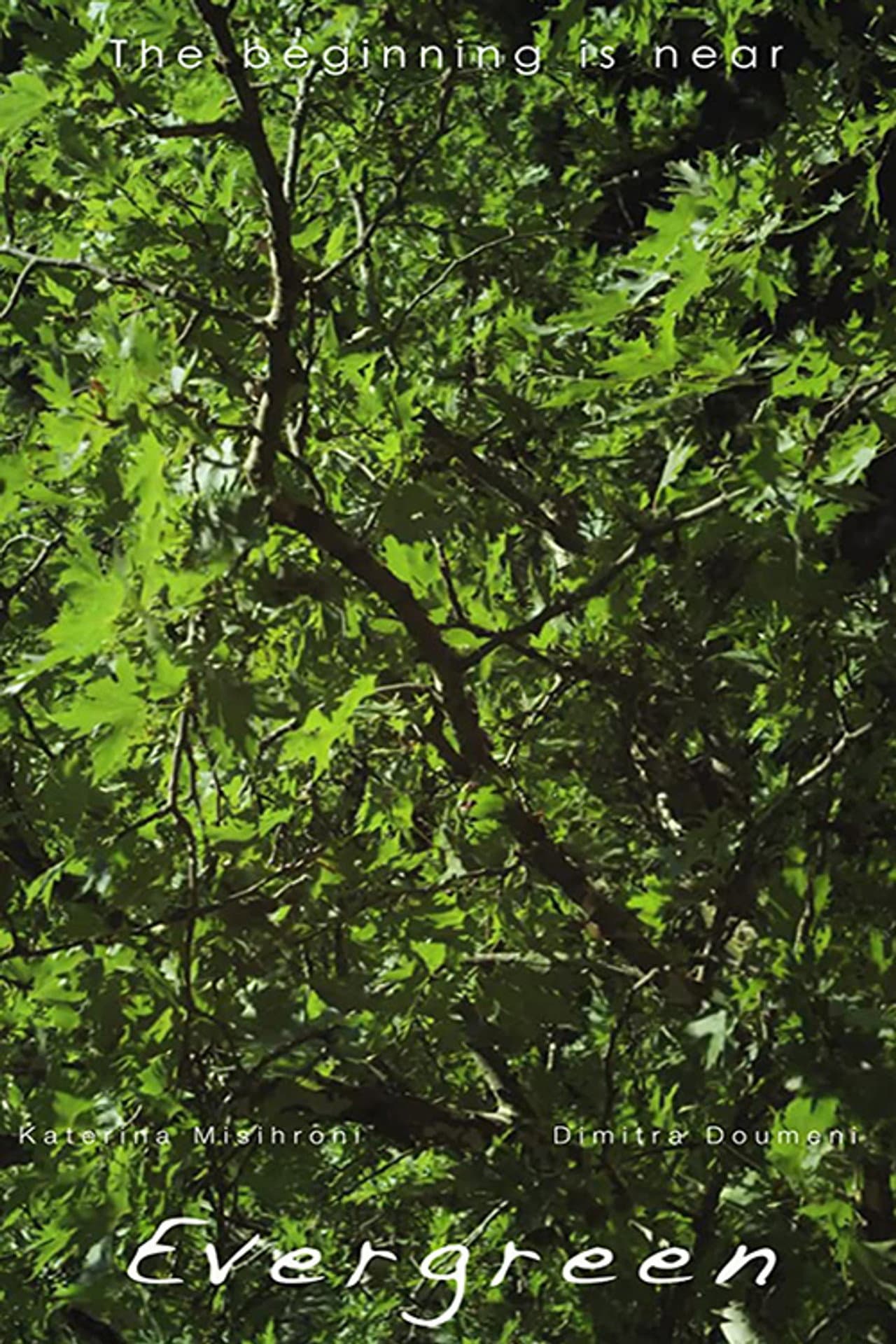 Evergreen preview 2
