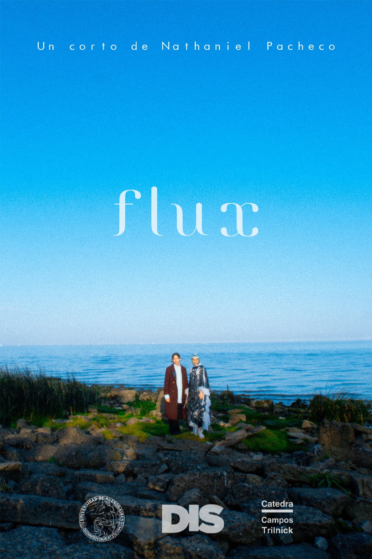 Flux preview 1