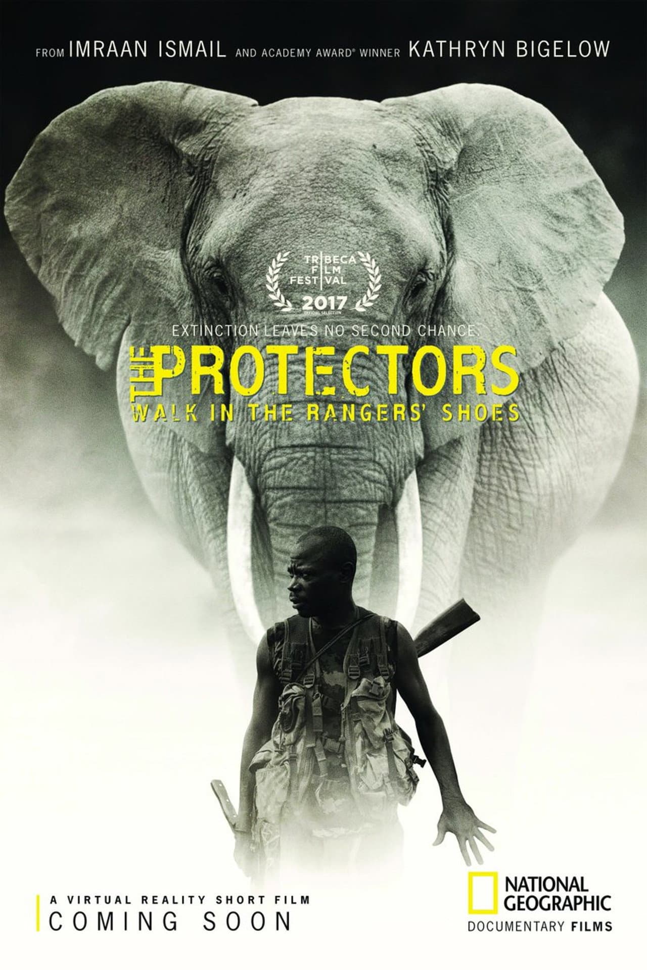 The Protectors preview 2