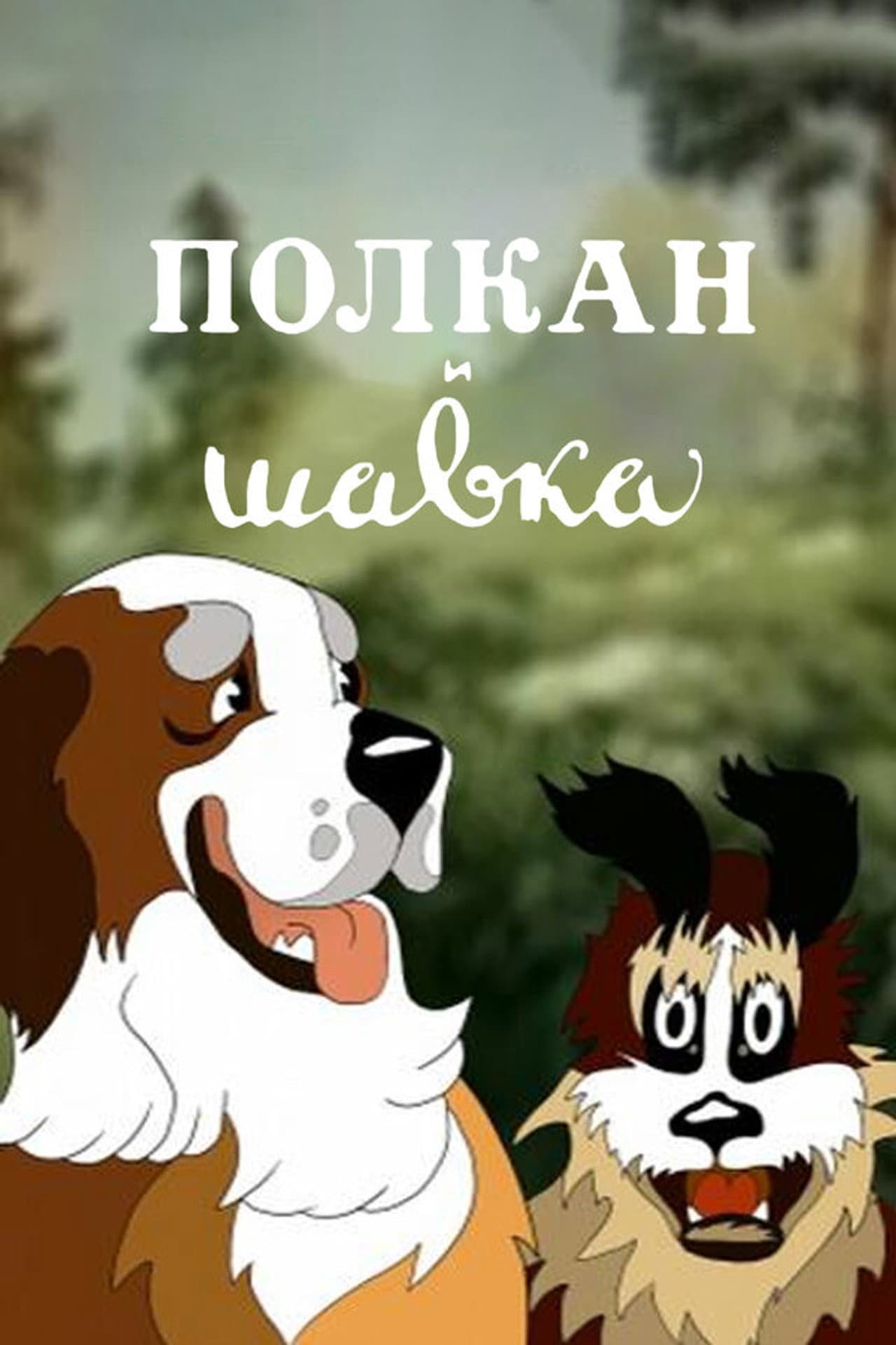 Polcan and Shavka preview 2