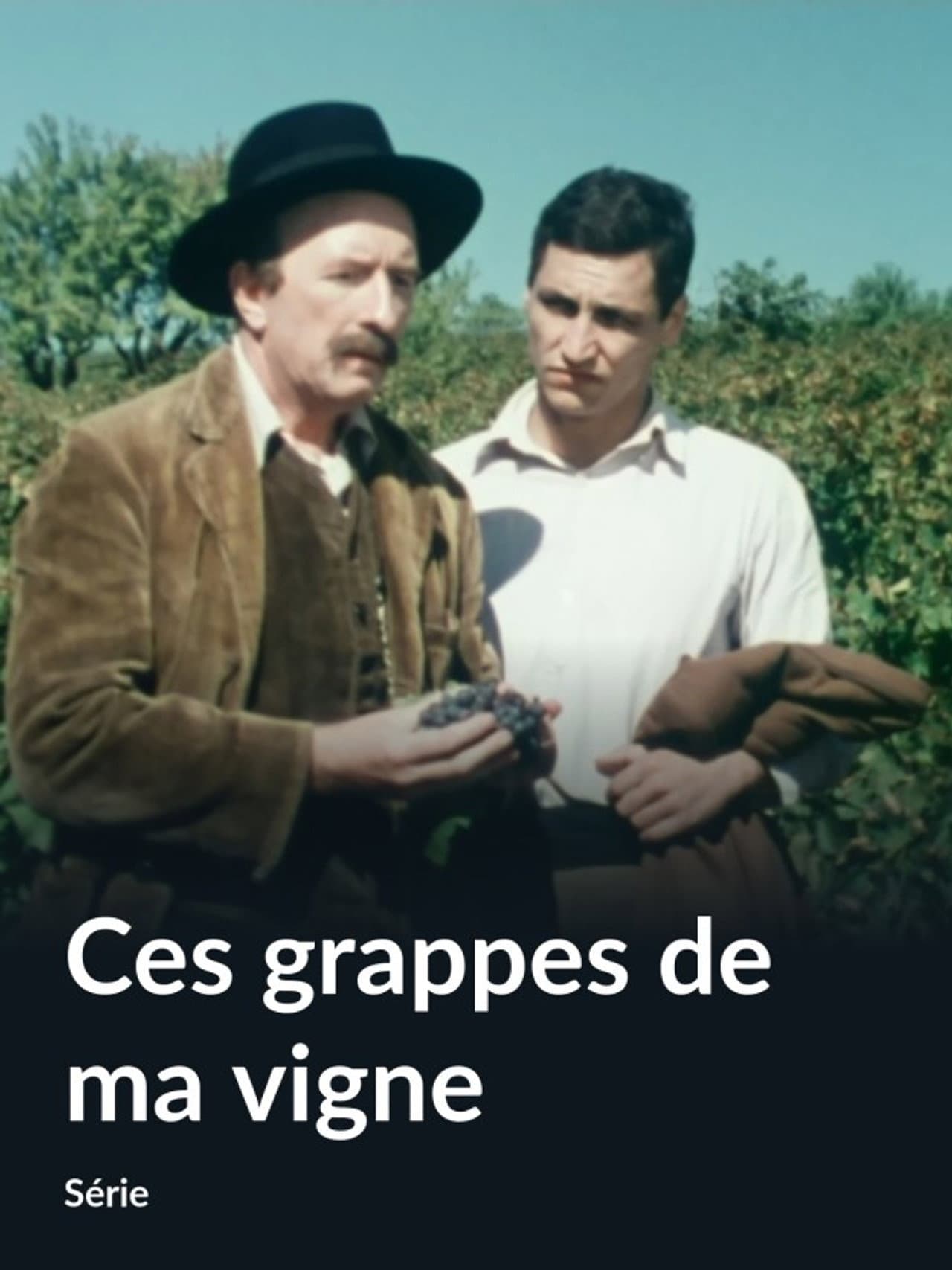 Ces grappes de ma vigne preview 2