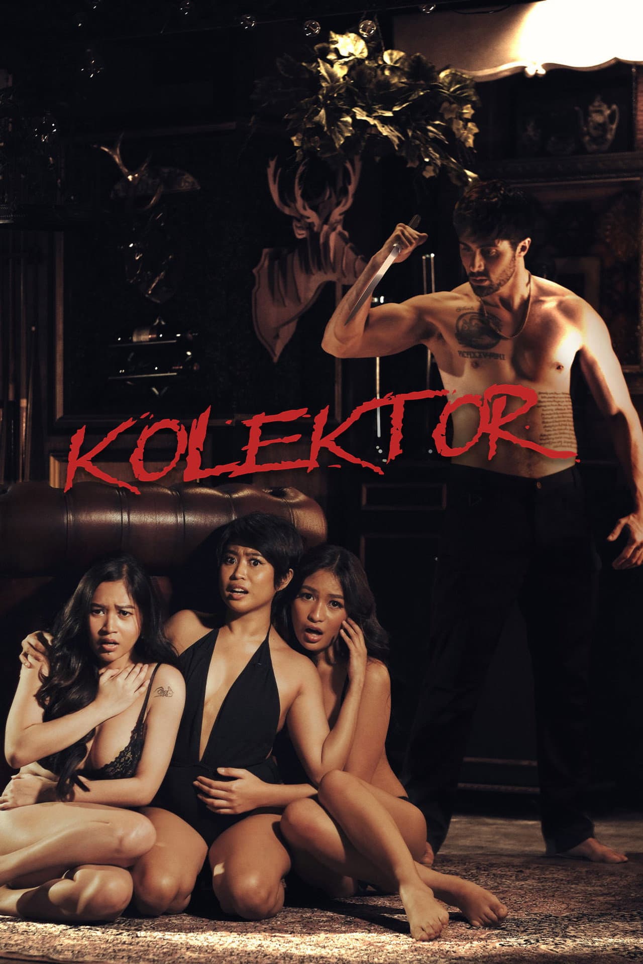 Kolektor preview 2