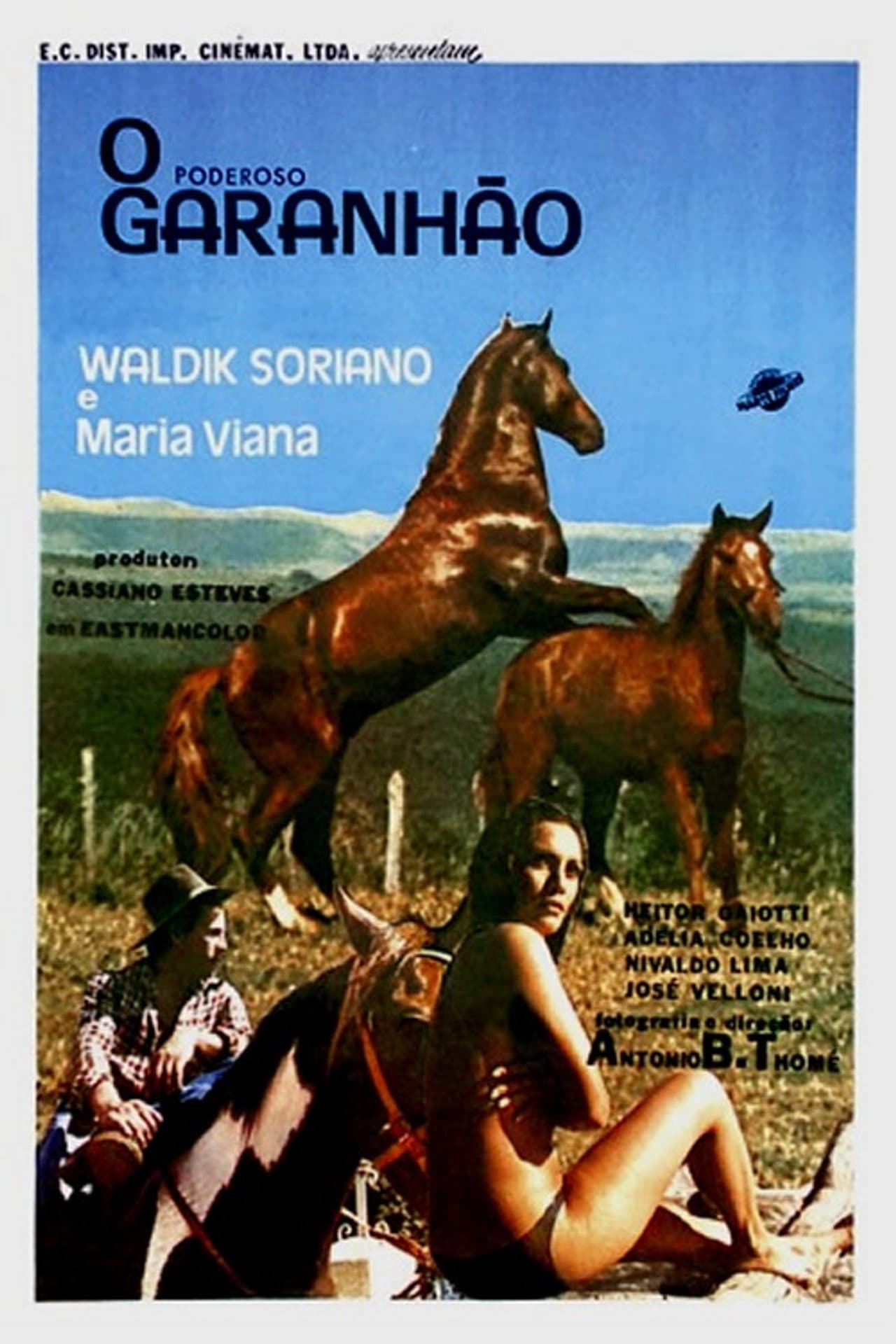 O Poderoso Garanhão preview 1