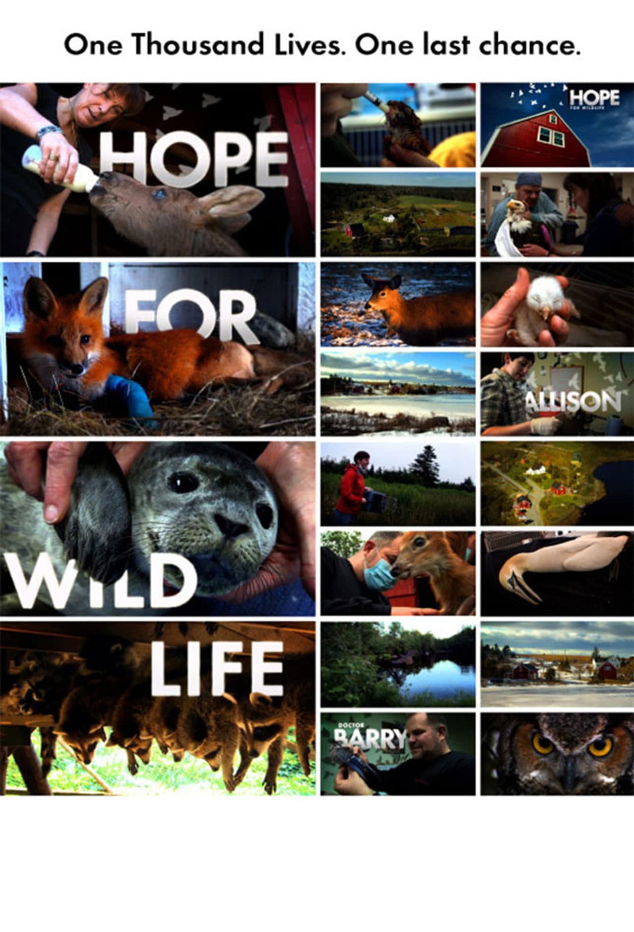 Hope for Wildlife preview 1