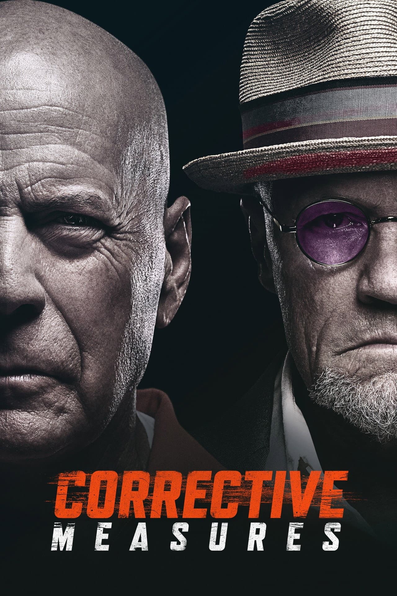 Corrective Measures preview 2