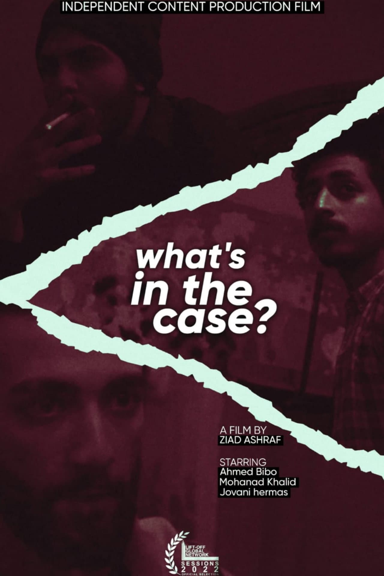 WHAT'S IN THE CASE? preview 1