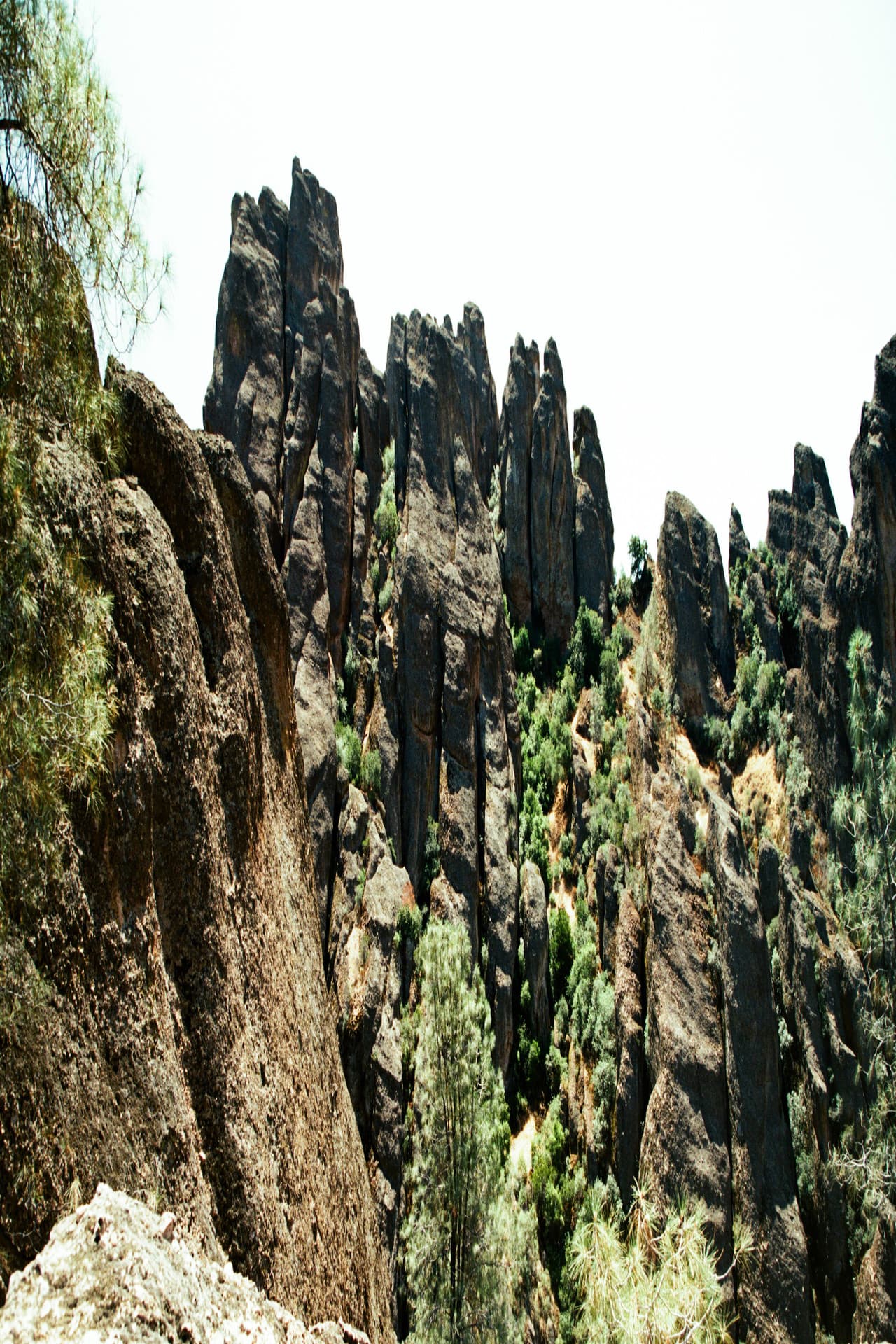 Pinnacles preview 1