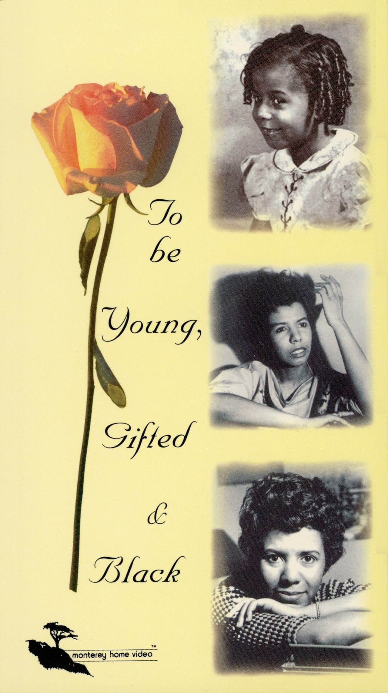 To Be Young, Gifted and Black preview 2