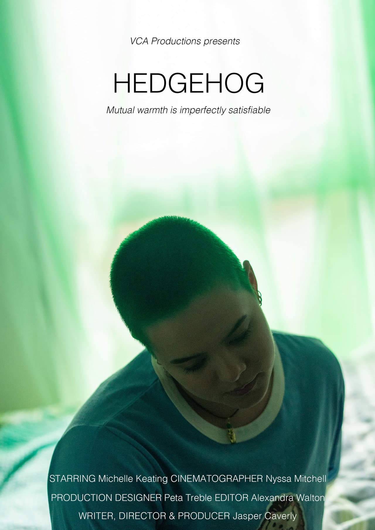Hedgehog preview 2