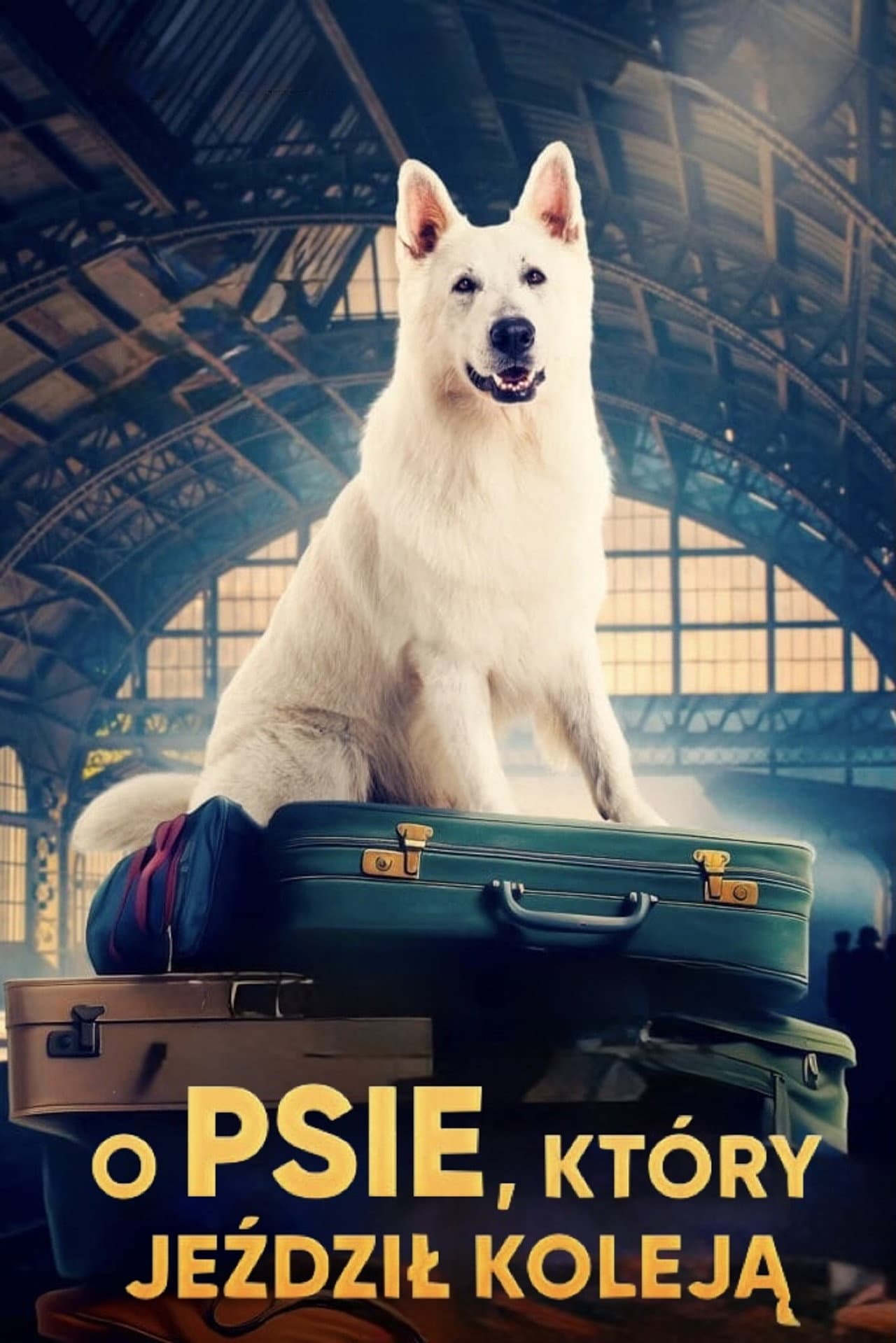 Lampo, the Travelling Dog preview 2