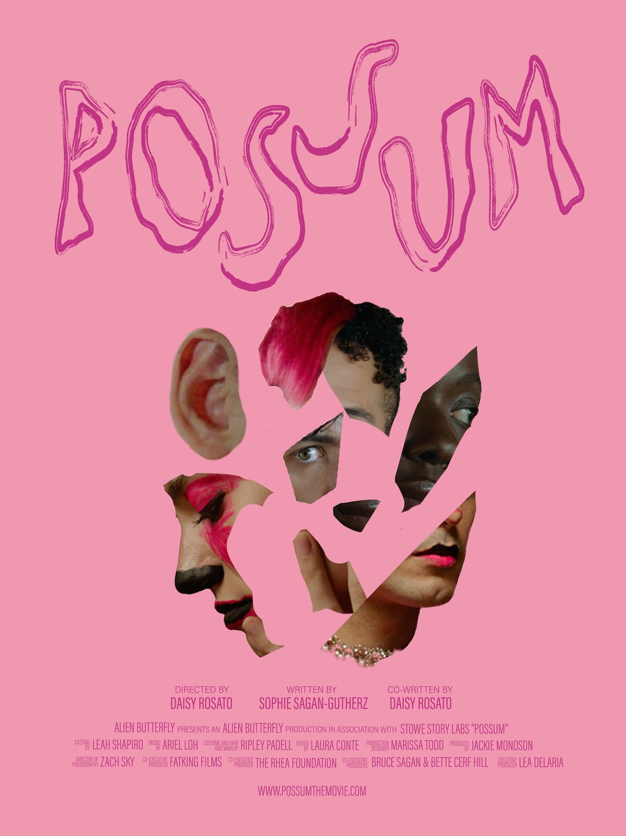 POSSUM preview 2