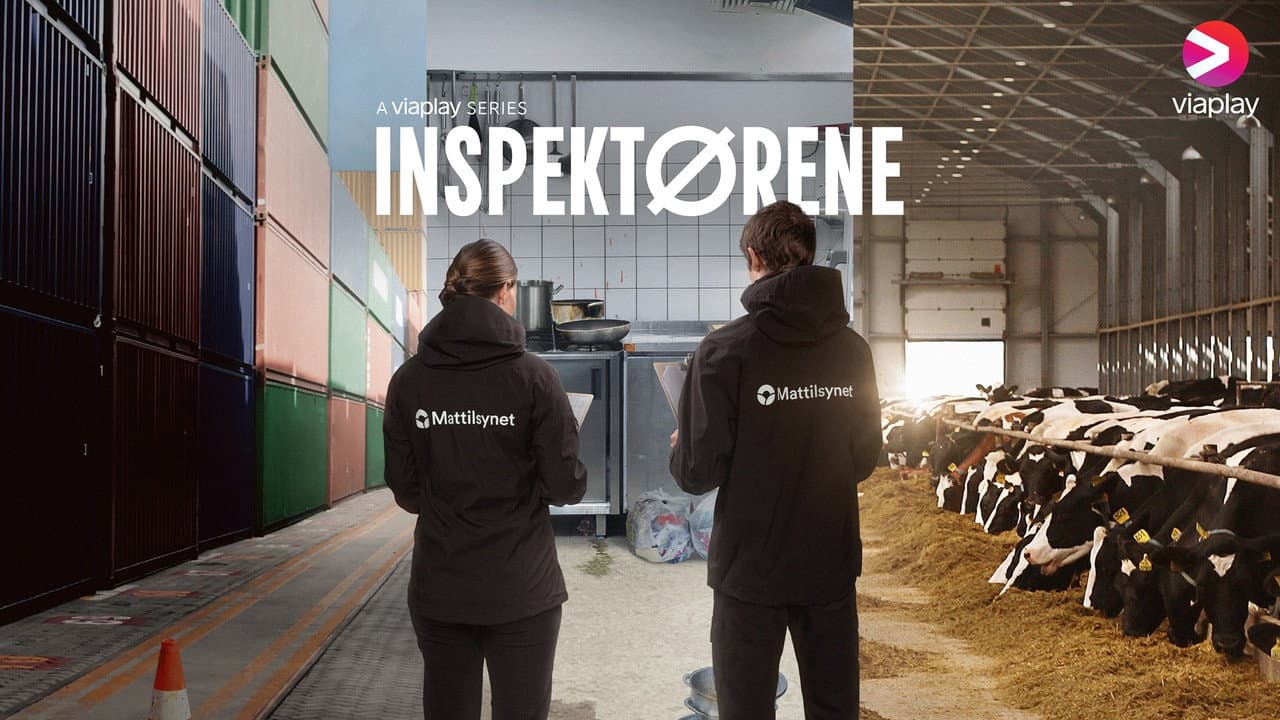 Inspectors