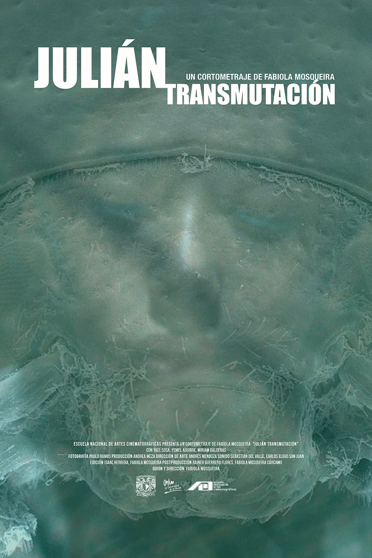 Julián (Transmutación) preview 2