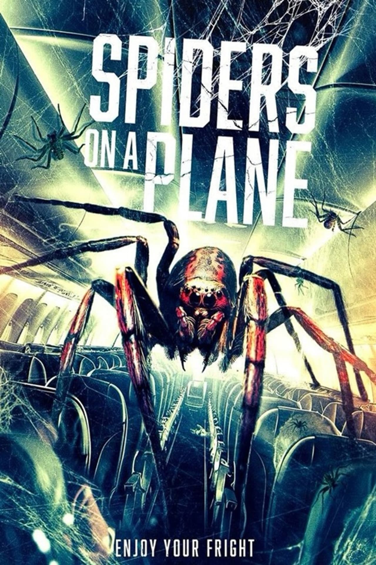 Spiders on a Plane preview 2