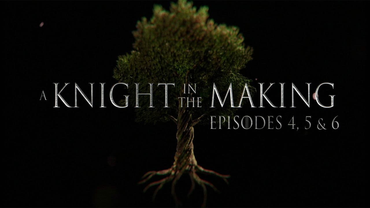 Episodes 4, 5, and 6
