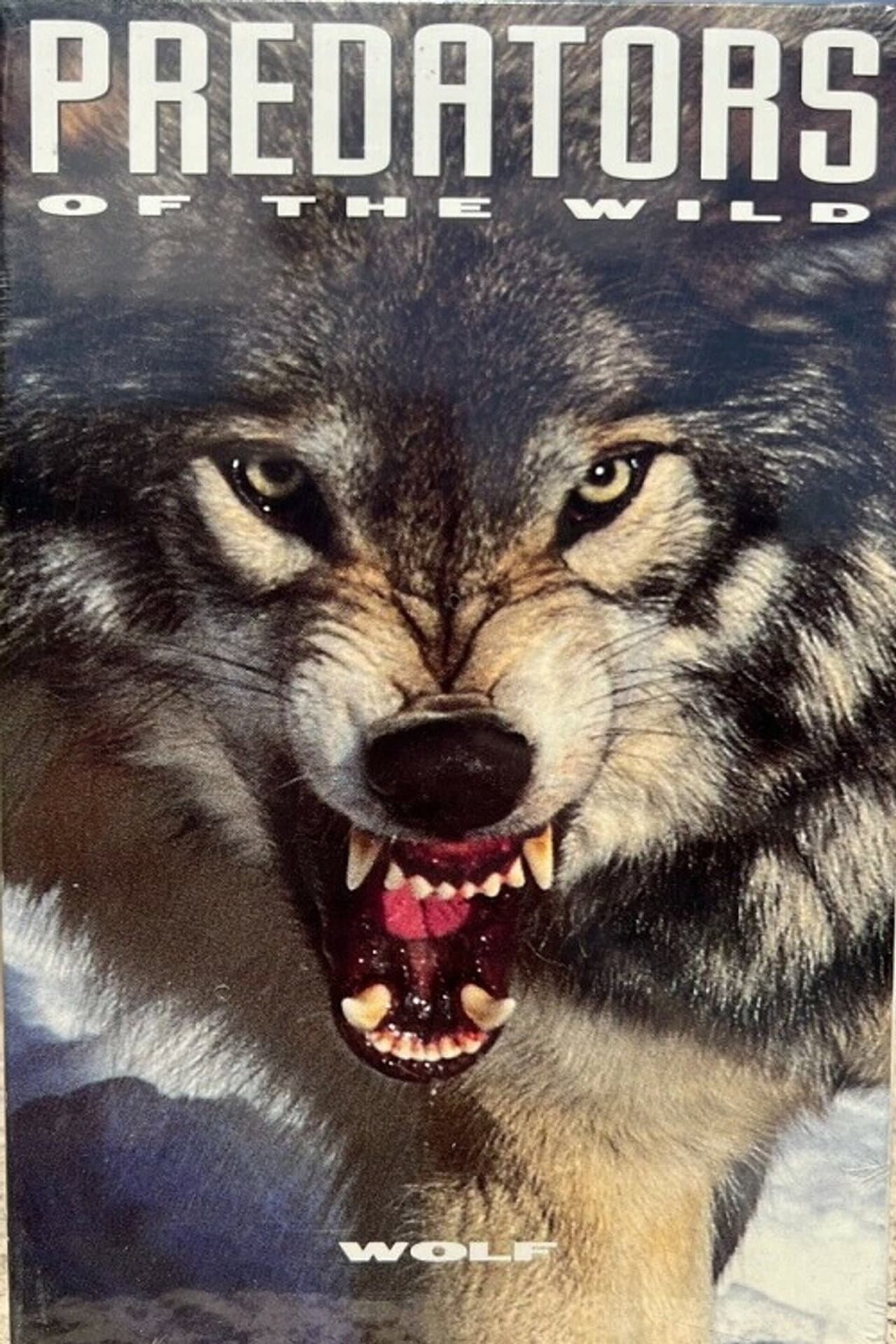 Predators of the Wild: Wolf preview 2
