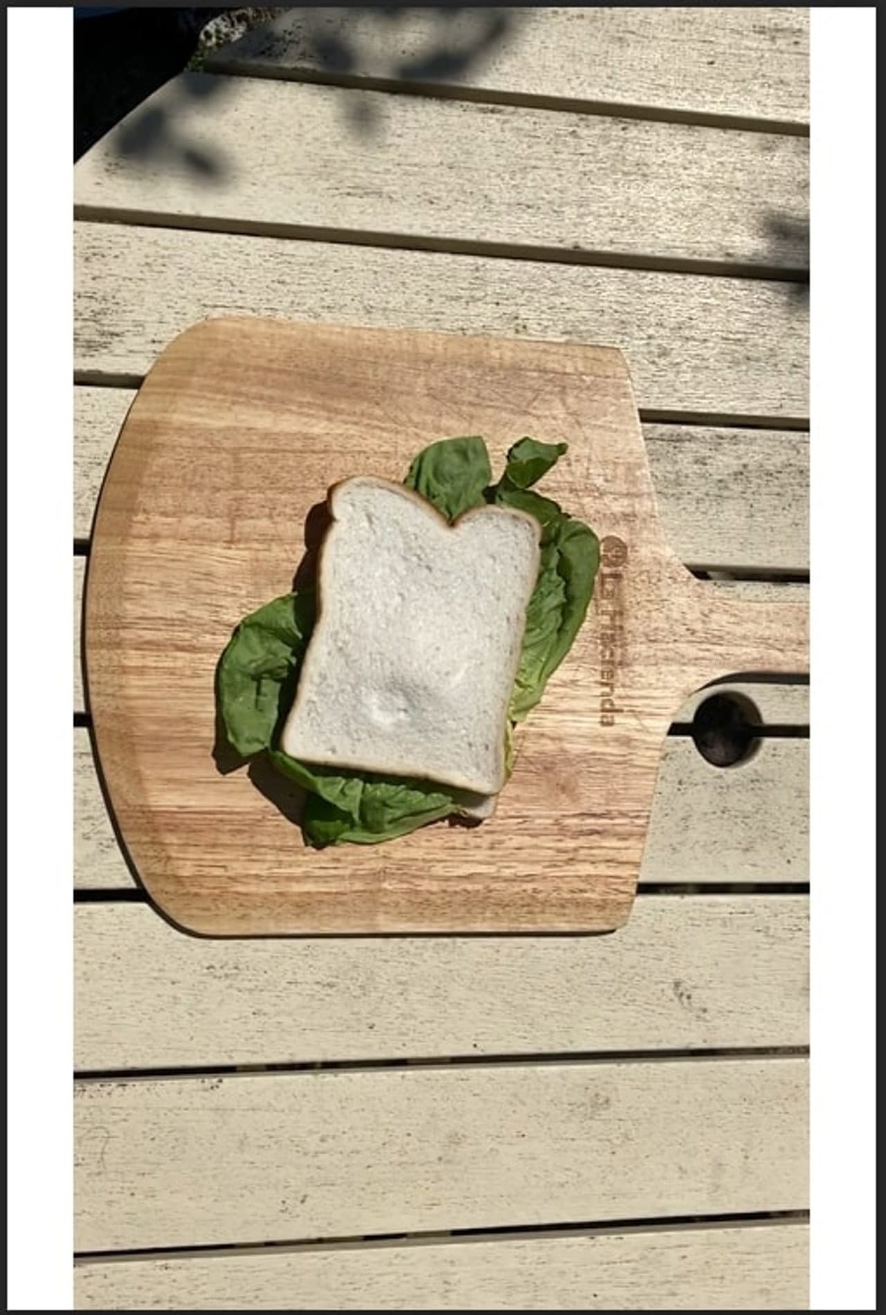 The Sandwich preview 1