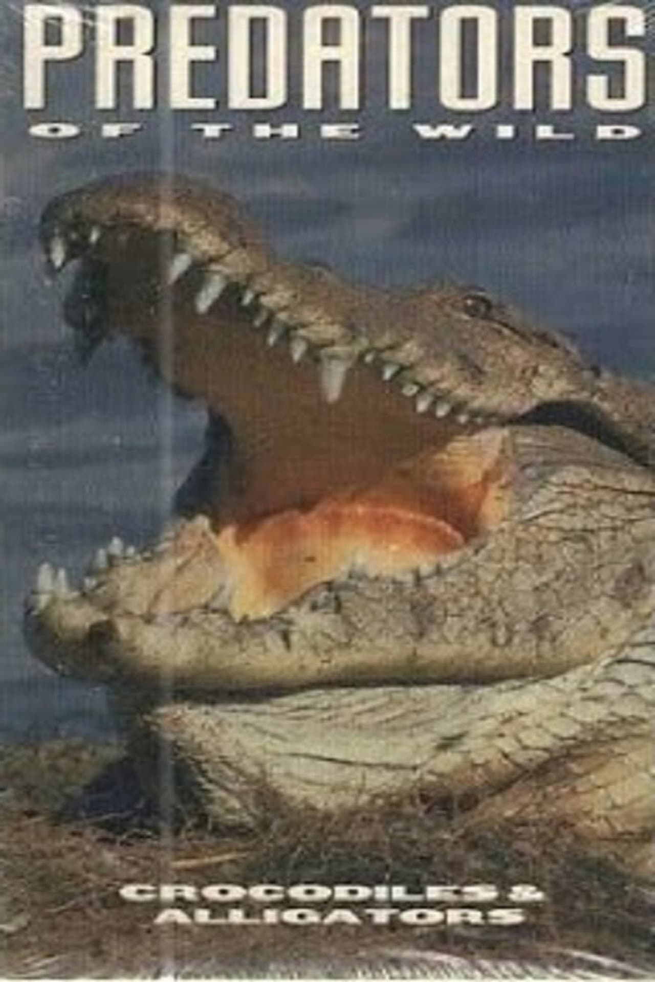 Predators of the Wild: Crocodiles and Alligators preview 2
