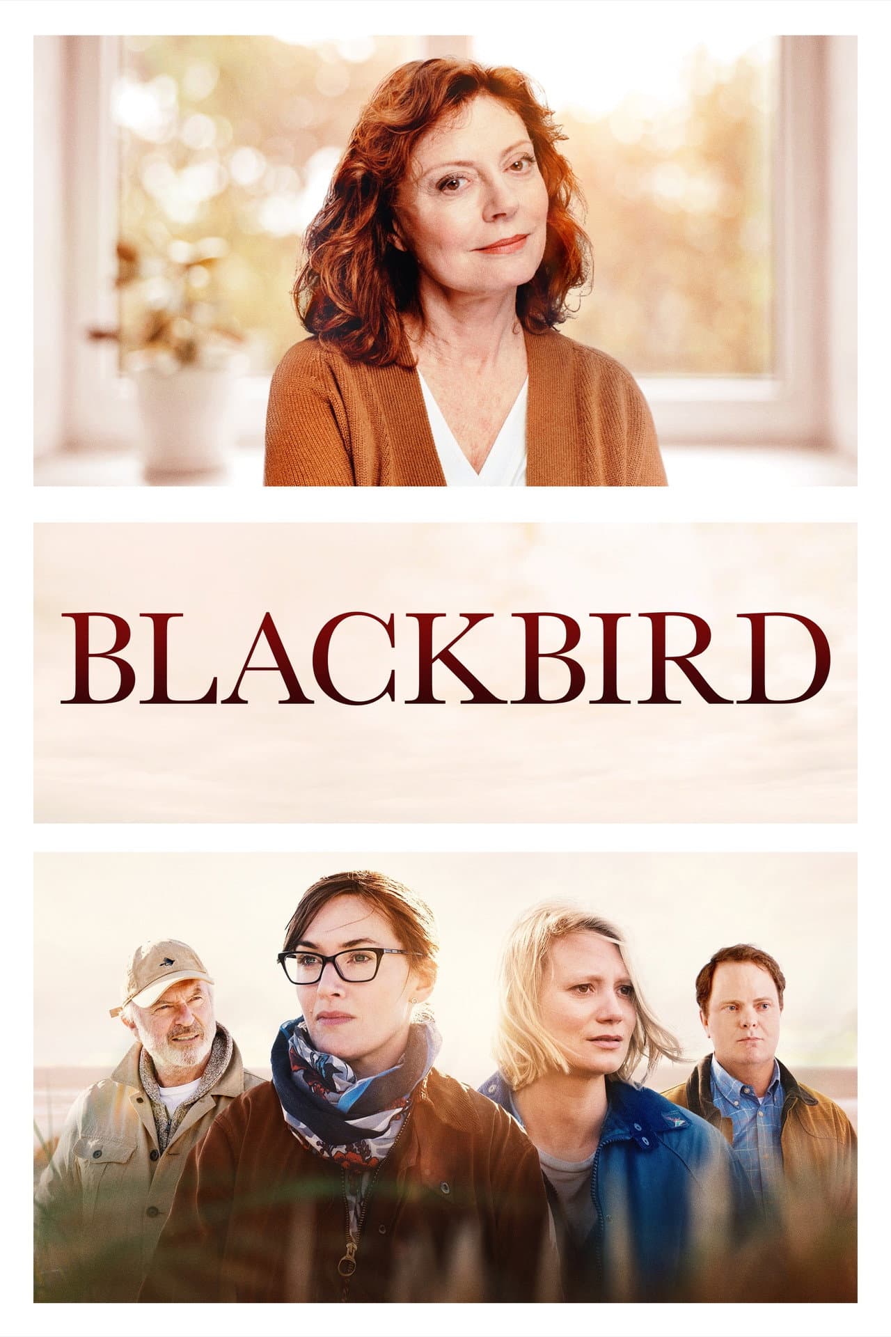 Blackbird preview 2