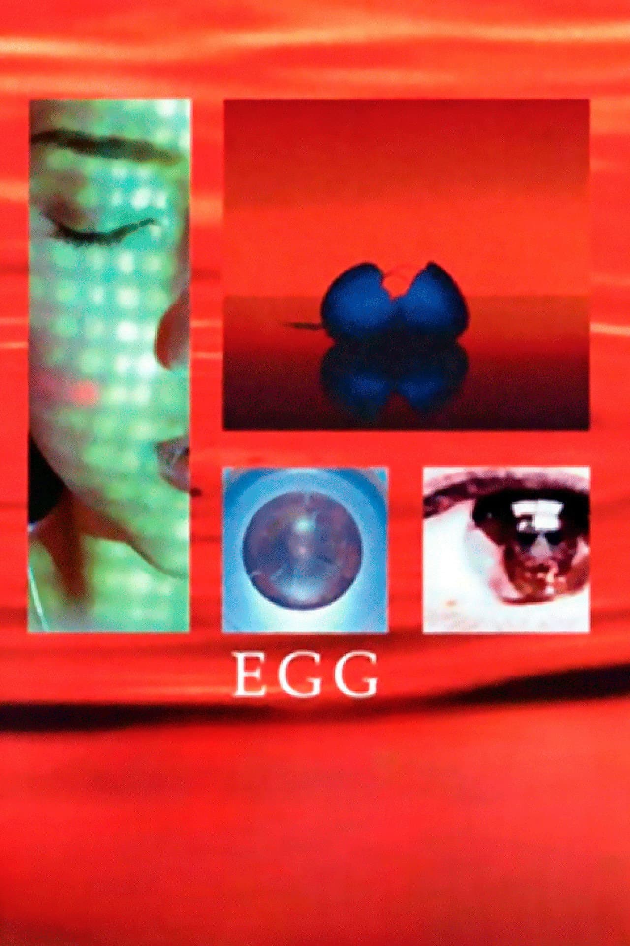 Egg preview 2