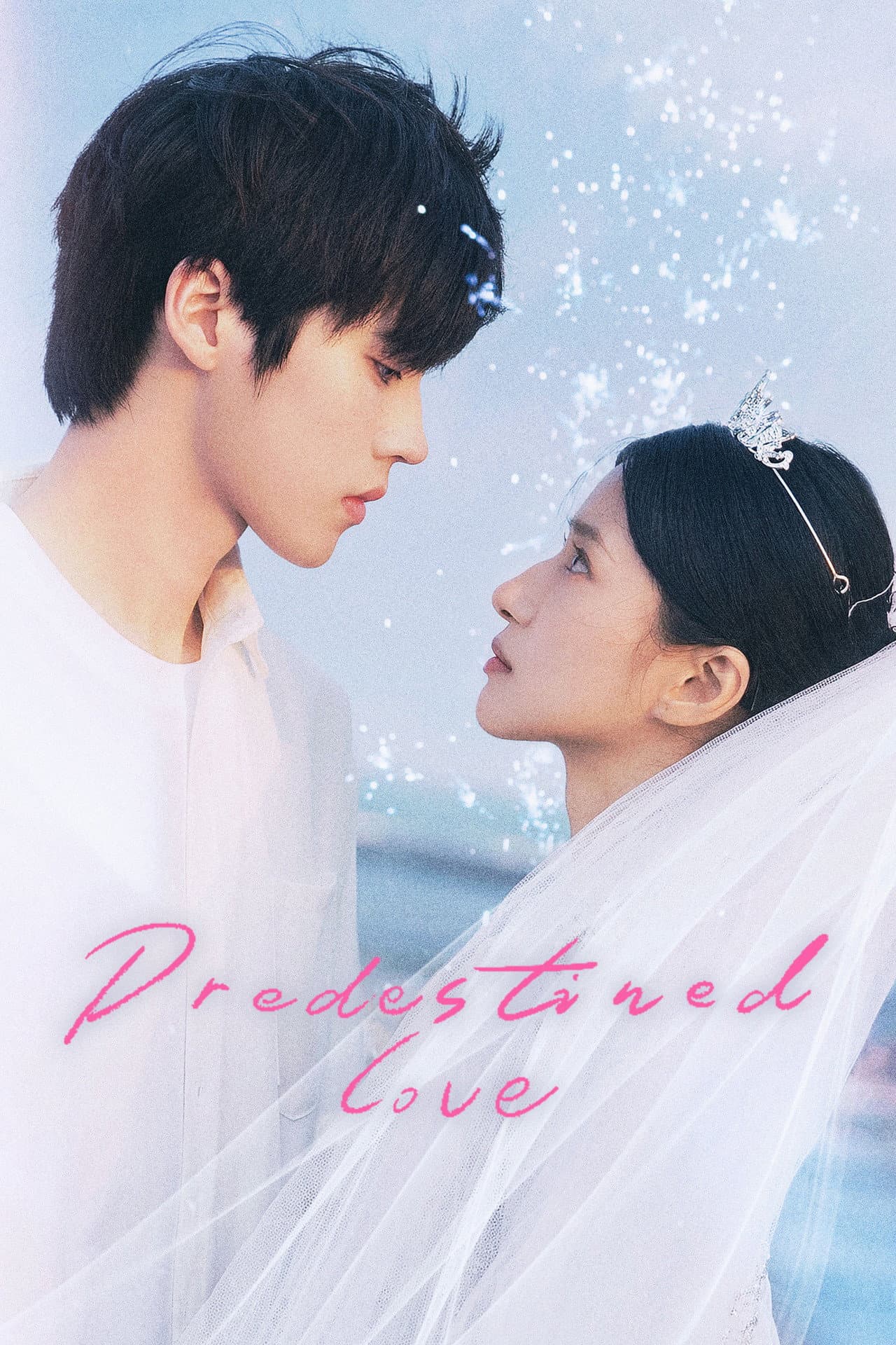 Predestined Love preview 2