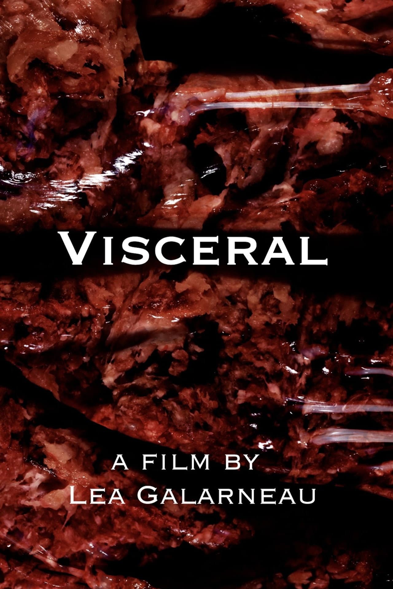 Visceral preview 2
