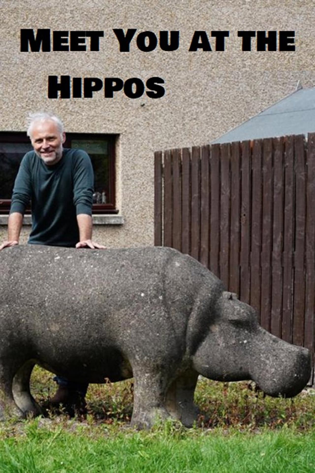Meet You at the Hippos preview 1