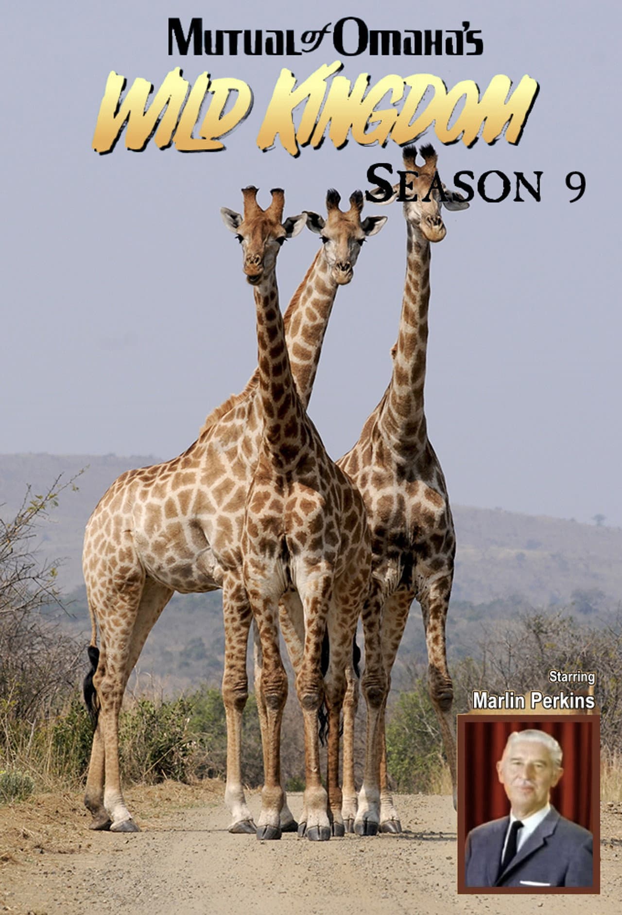 Season 9