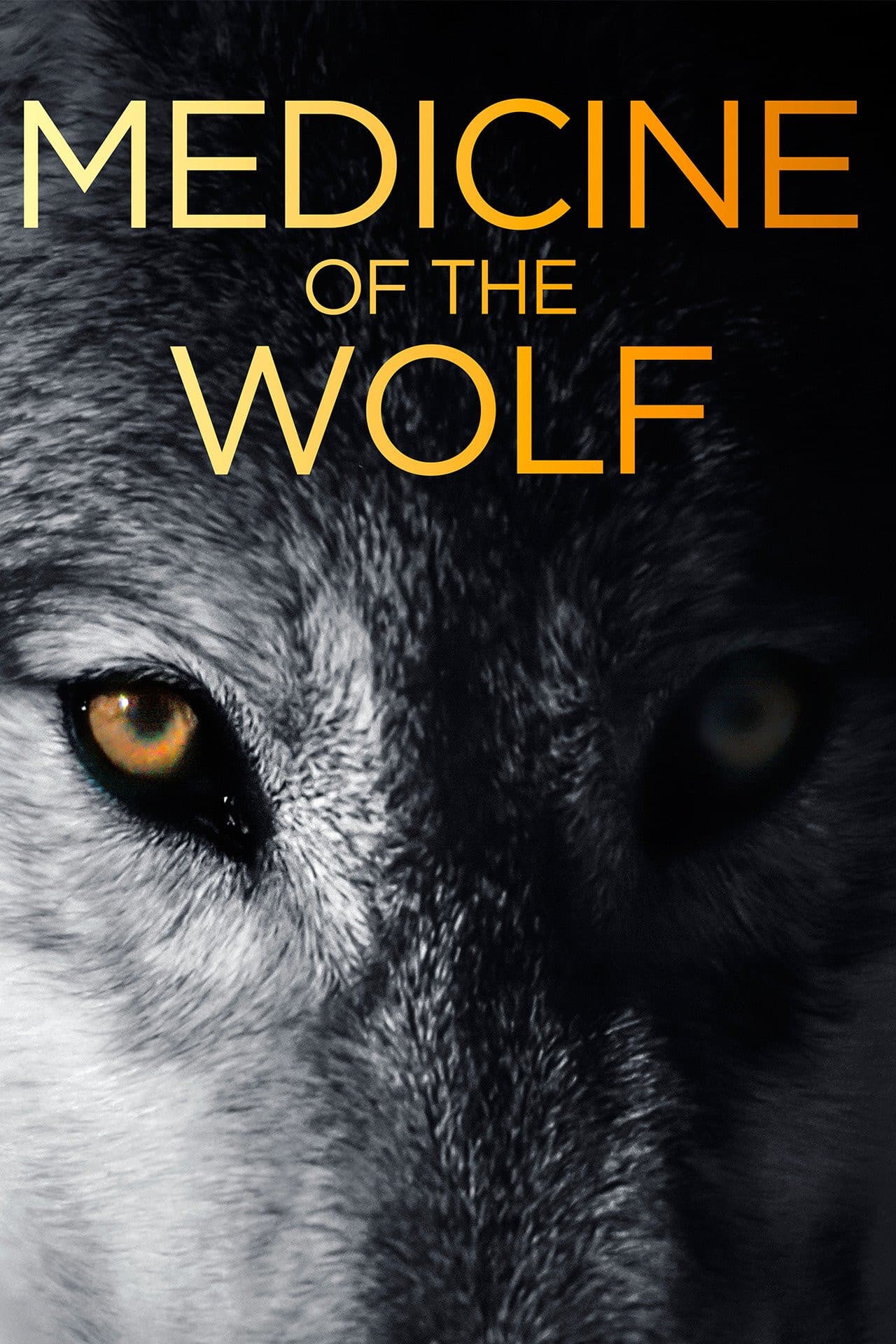 Medicine of the Wolf preview 2
