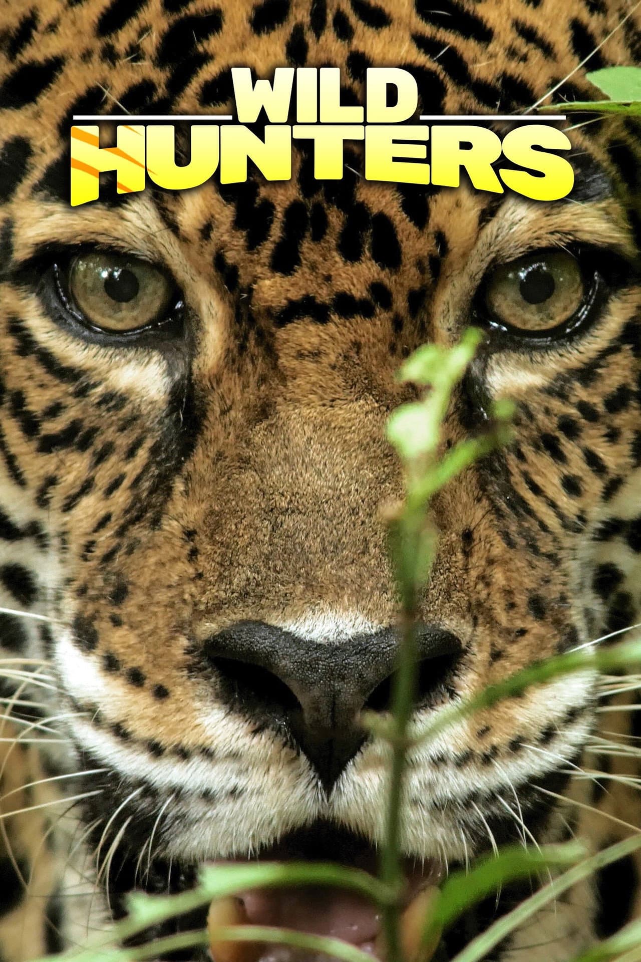 Wild Hunters preview 2