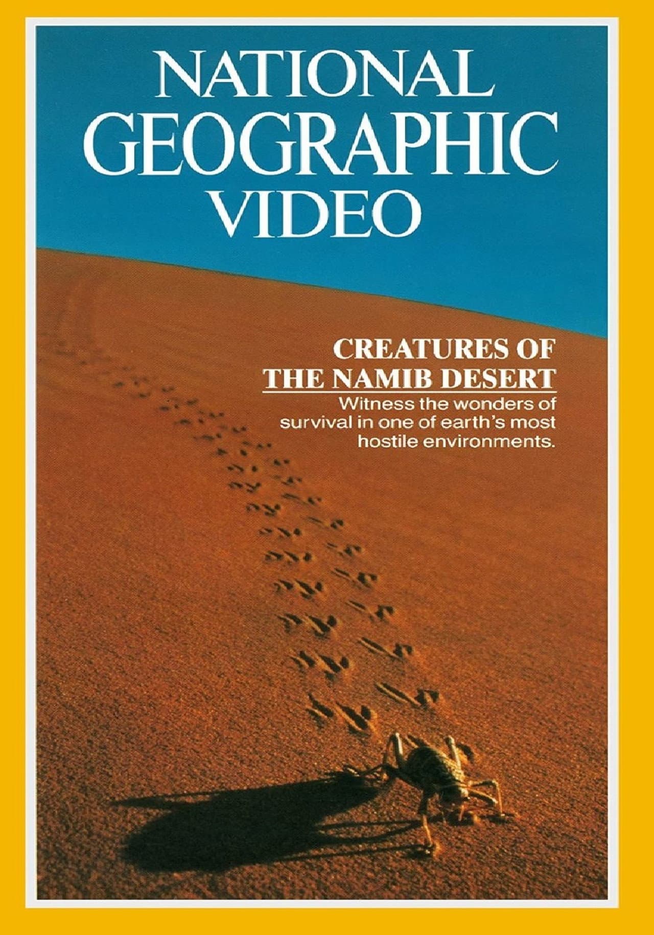 The Living Sands of Namib preview 2