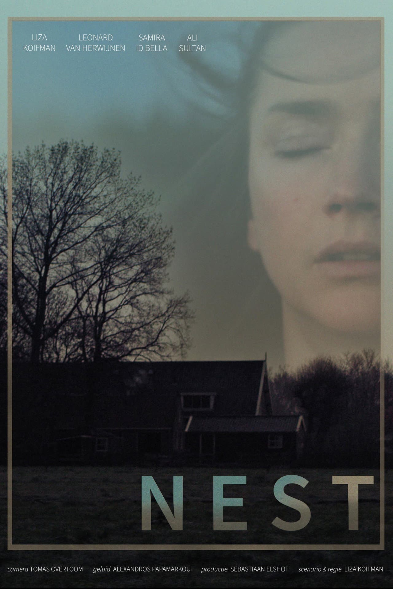 Nest preview 1