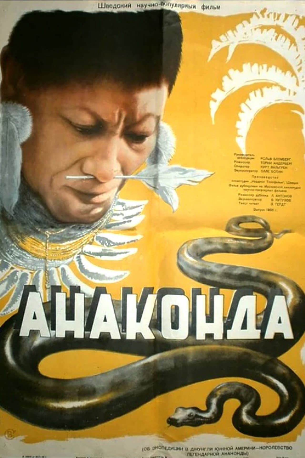 Anaconda preview 1