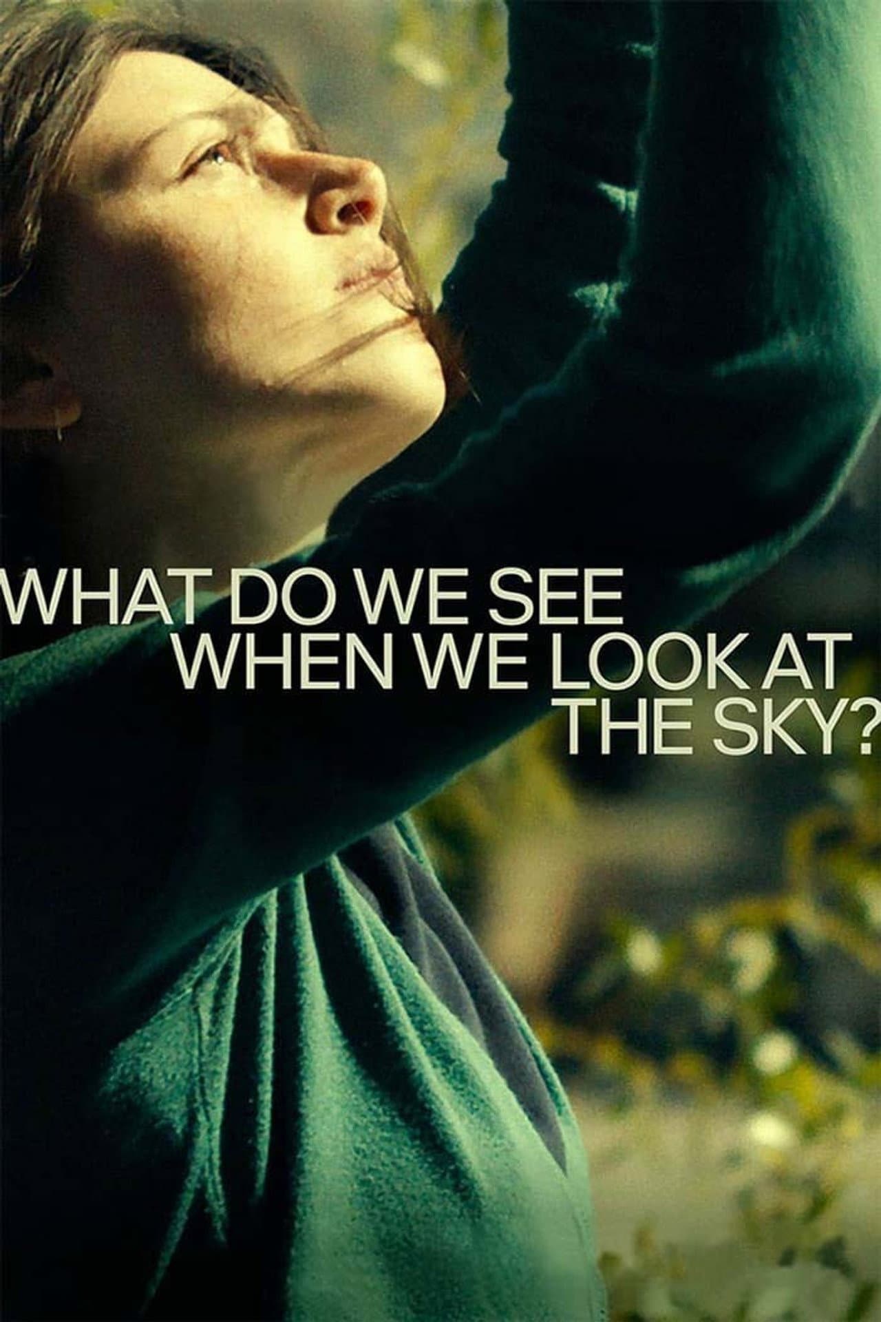 What Do We See When We Look at the Sky? preview 2