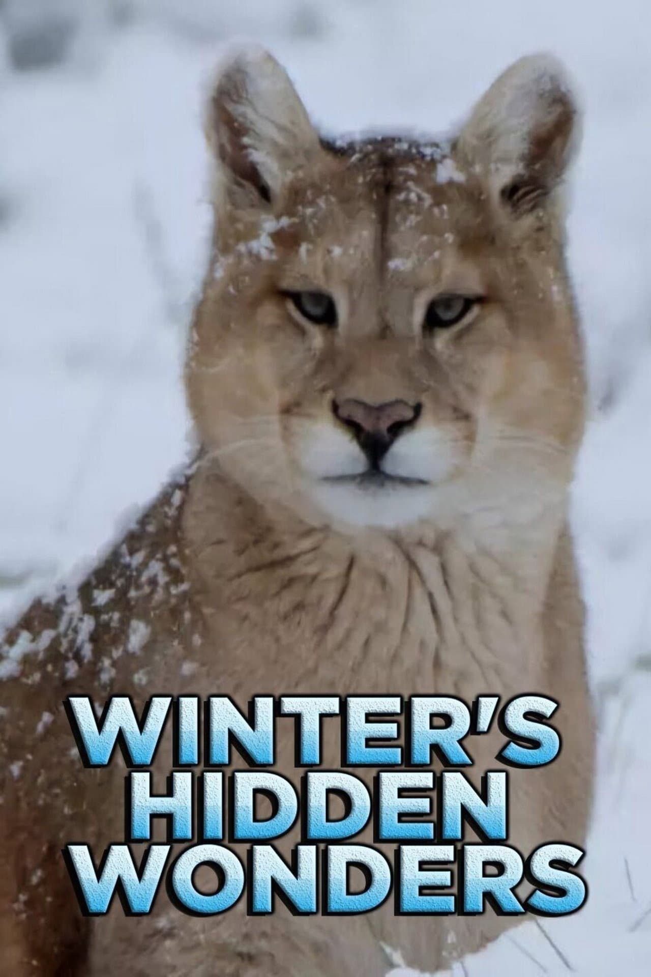 Winter's Hidden Wonders preview 2