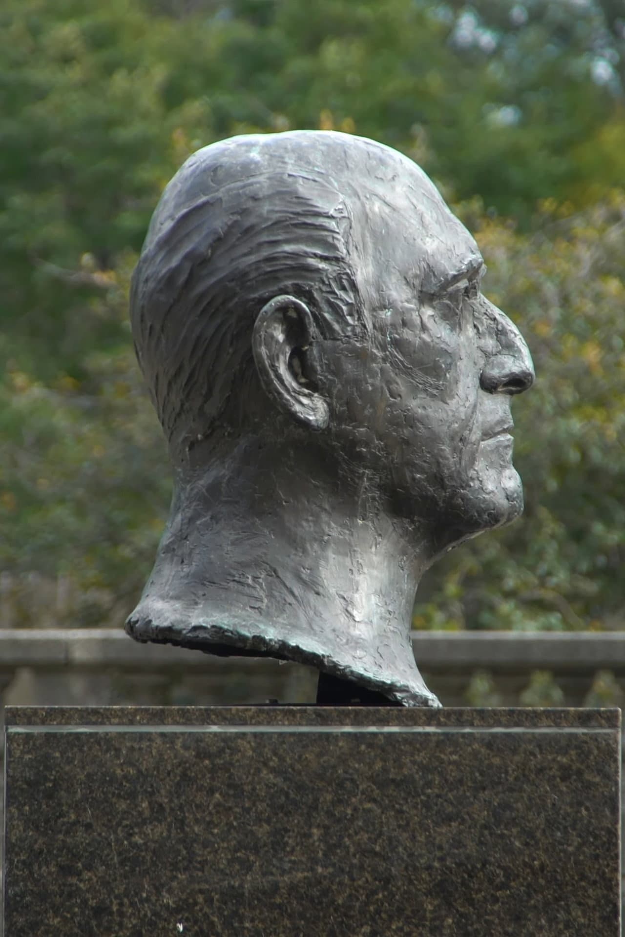 Sir Georg Solti's Right Ear preview 1