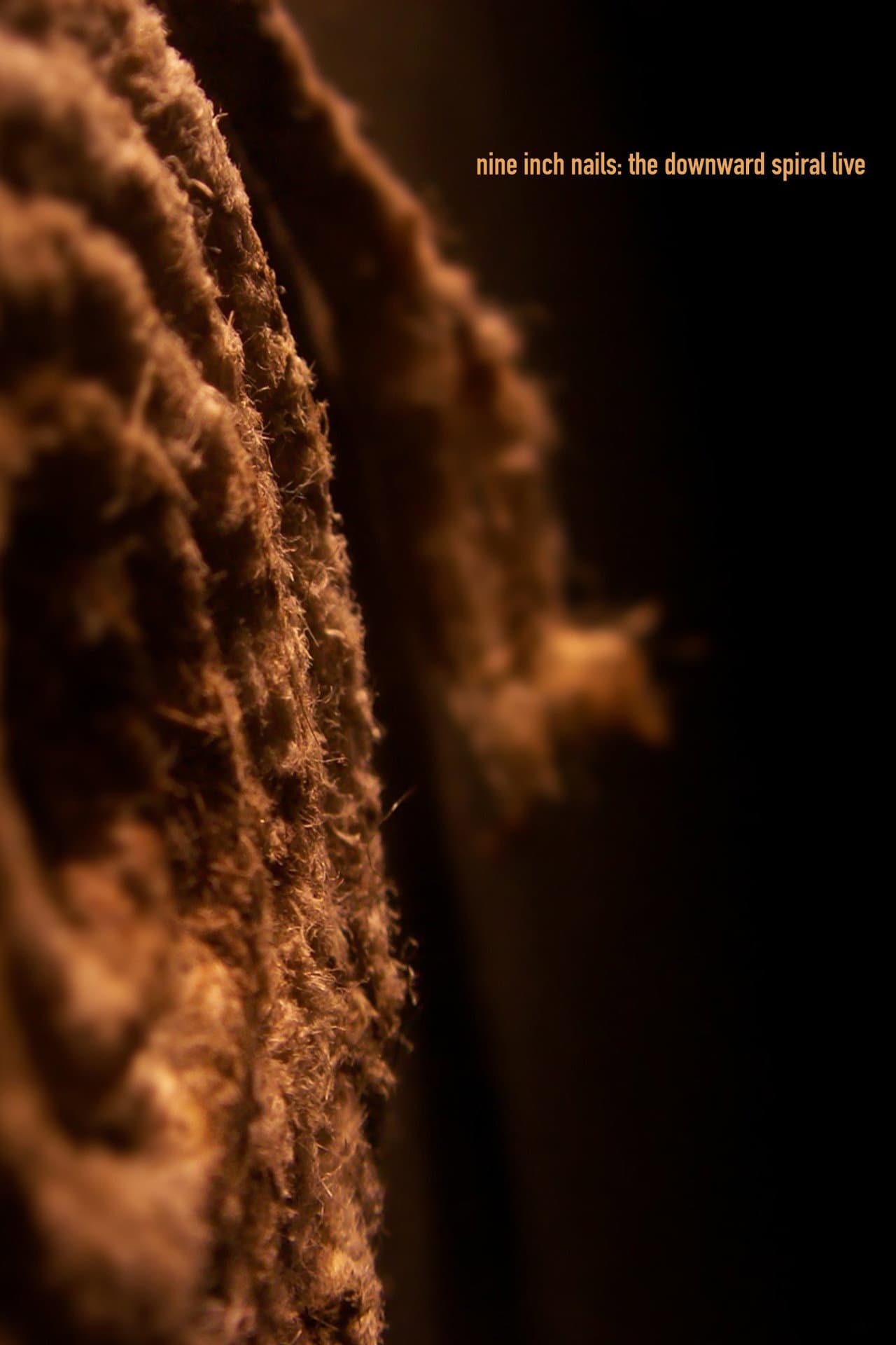 Nine Inch Nails: The Downward Spiral Live preview 2