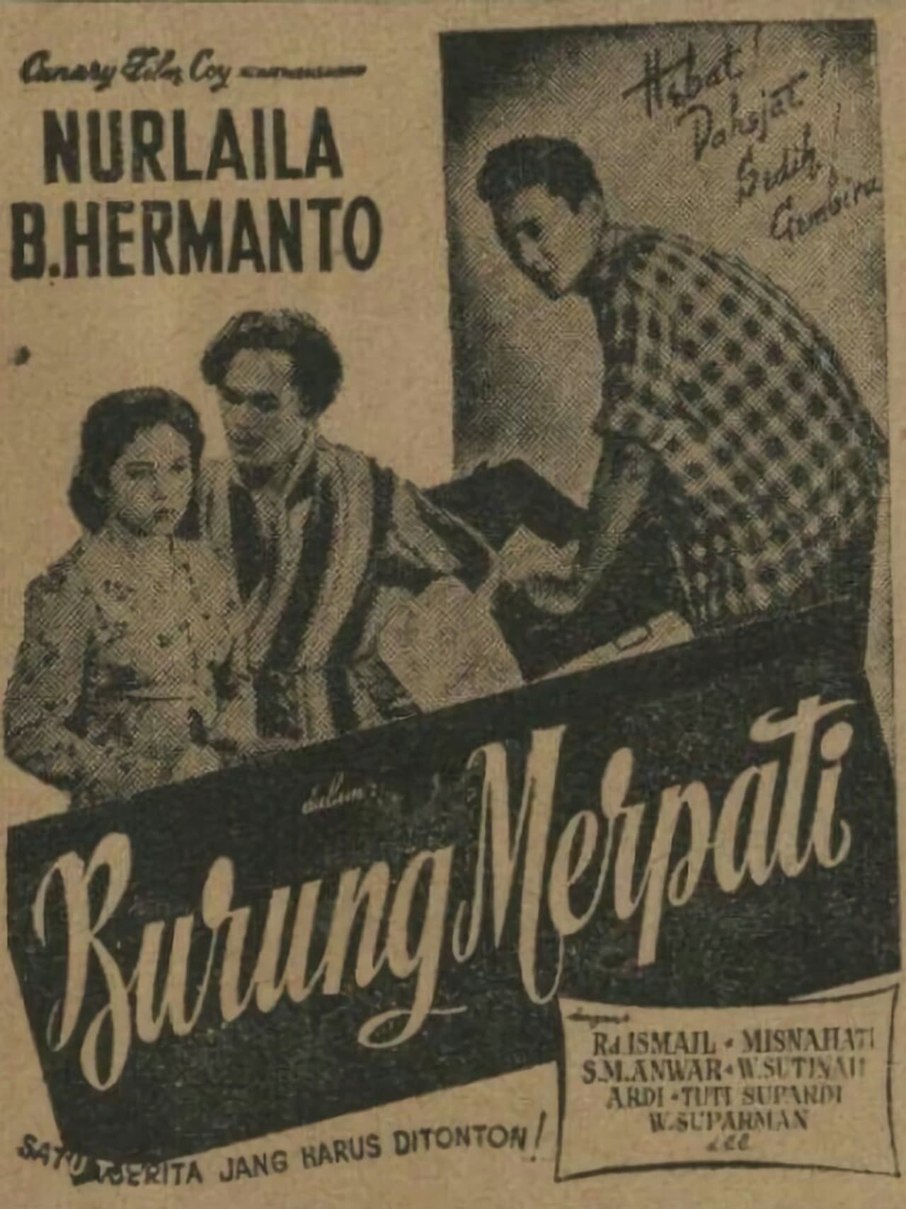 Burung Merpati preview 1