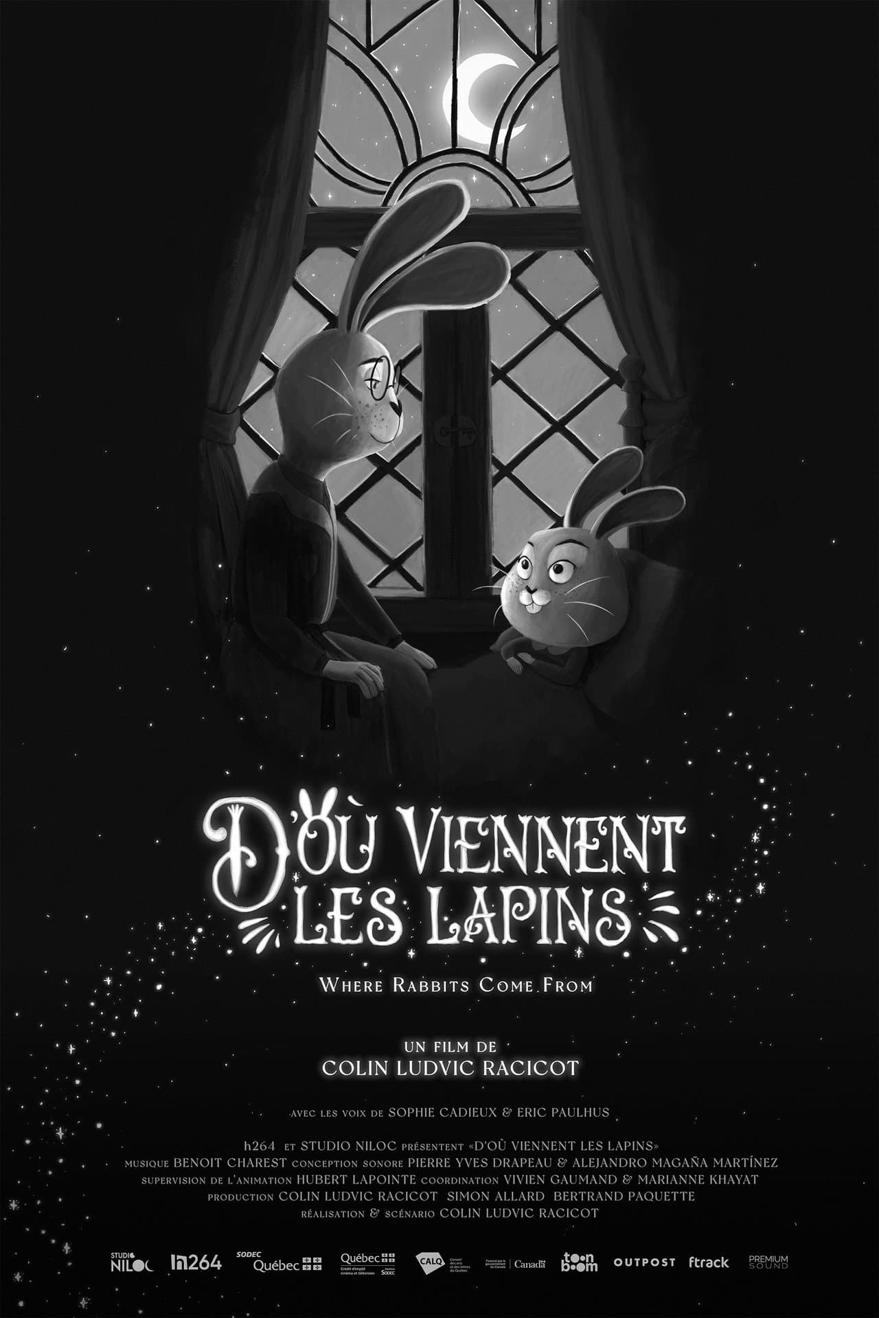 Where Rabbits Come From preview 2