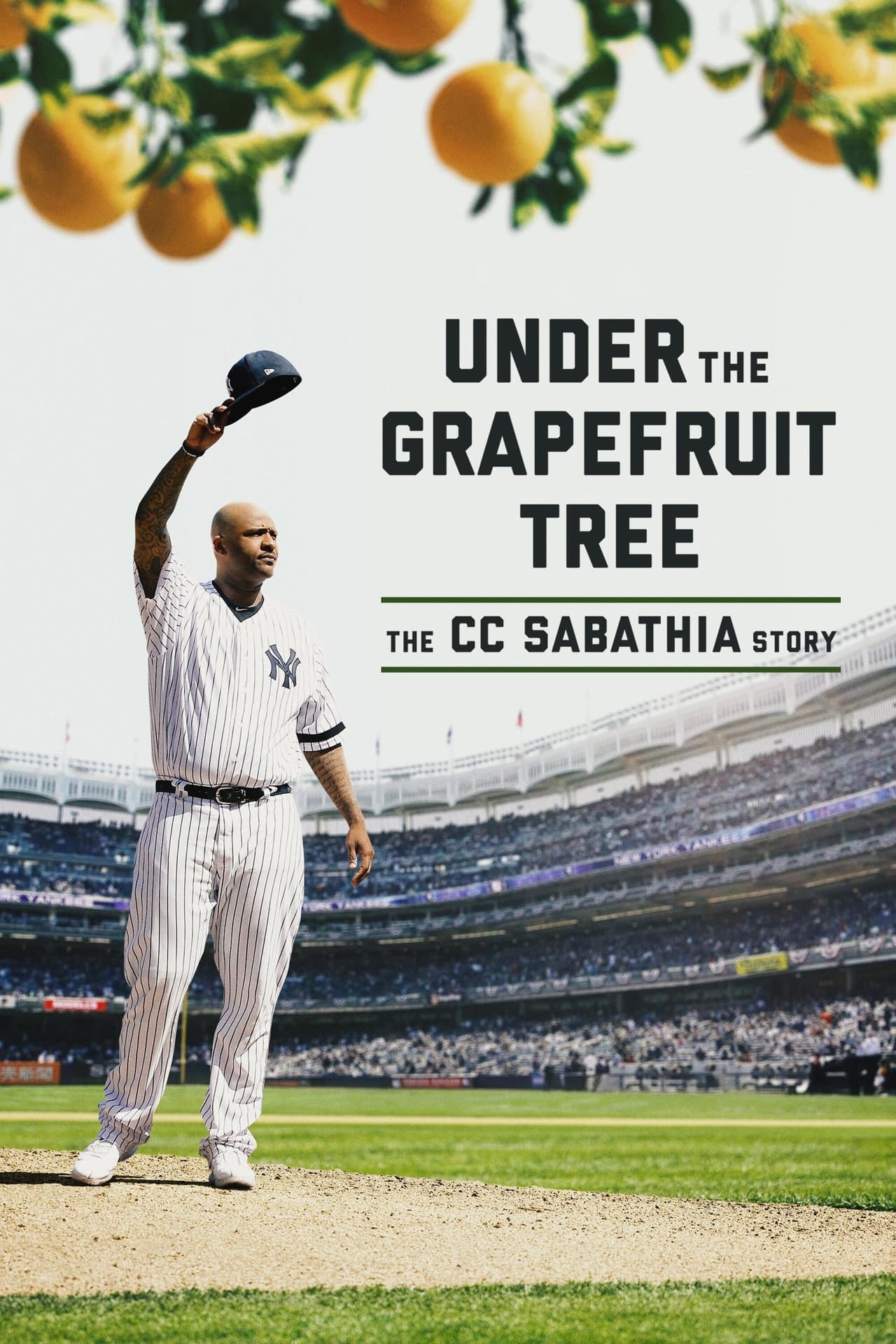 Under the Grapefruit Tree: The CC Sabathia Story preview 2
