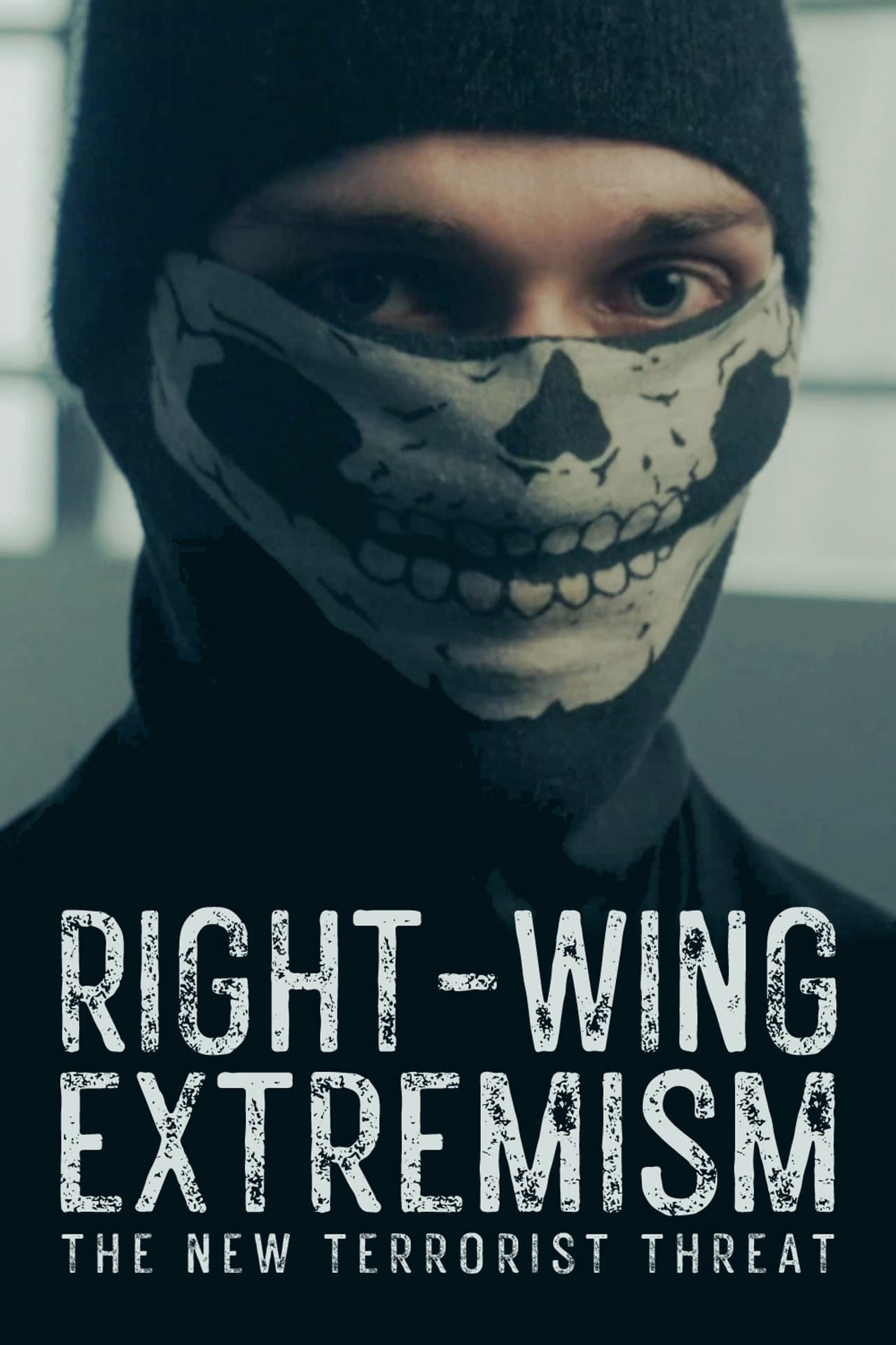 Right-Wing Extremism: The New Terrorist Threat preview 2