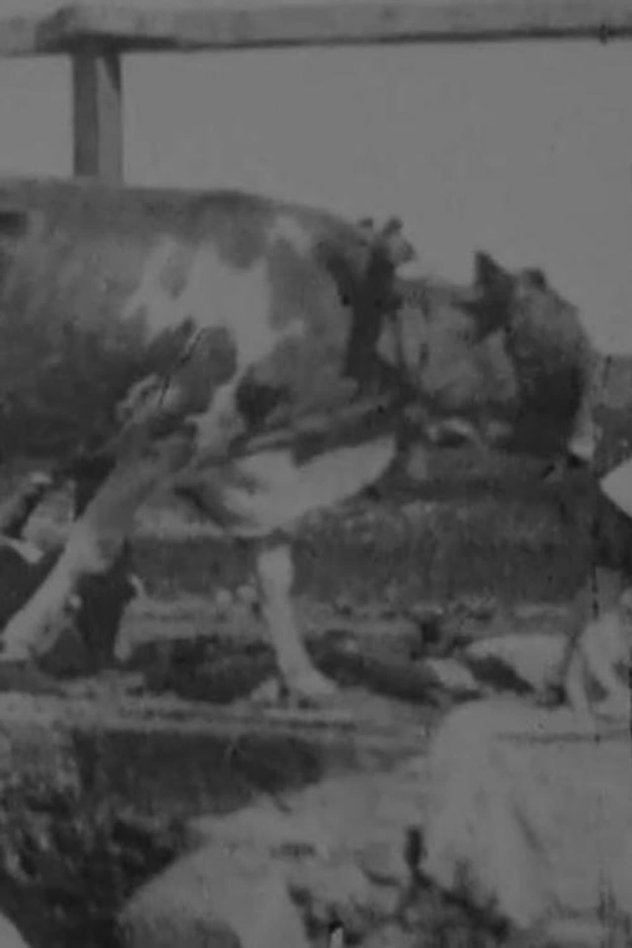 Egyptian Bullock-Pump Drawing Water preview 1