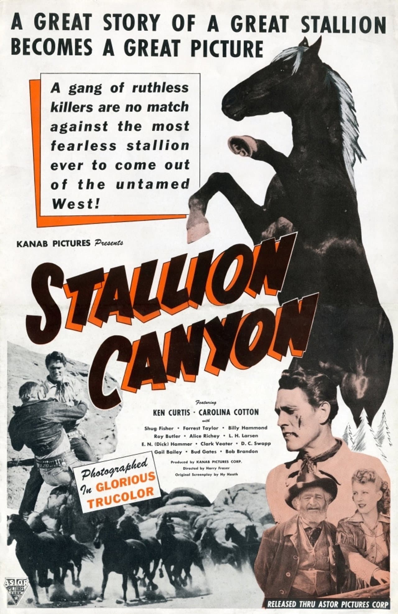 Stallion Canyon preview 2
