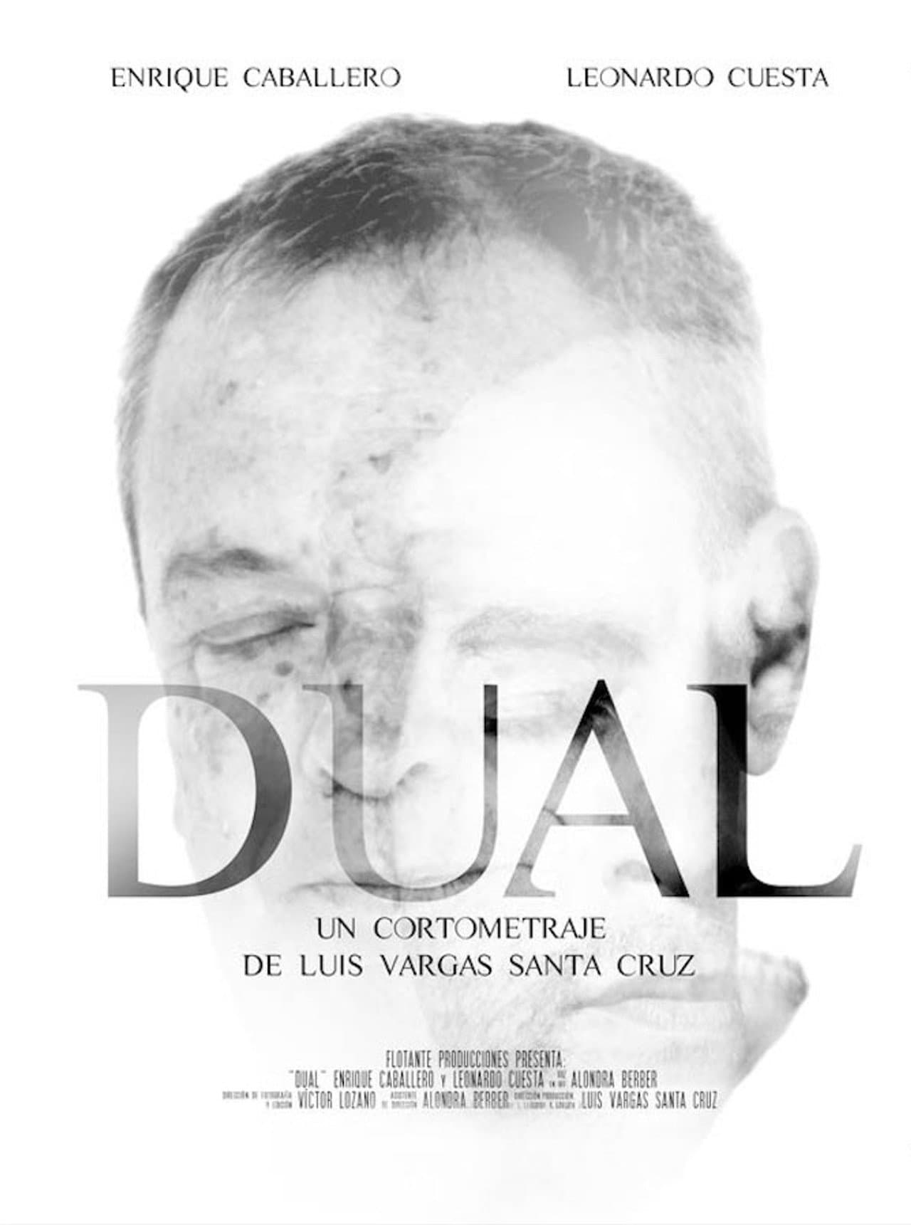 Dual preview 1